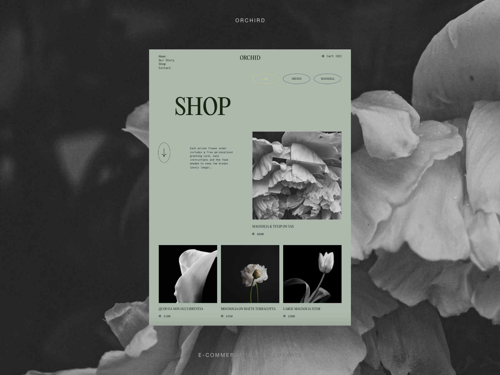 Orchid | E-commerce UI KIT Template