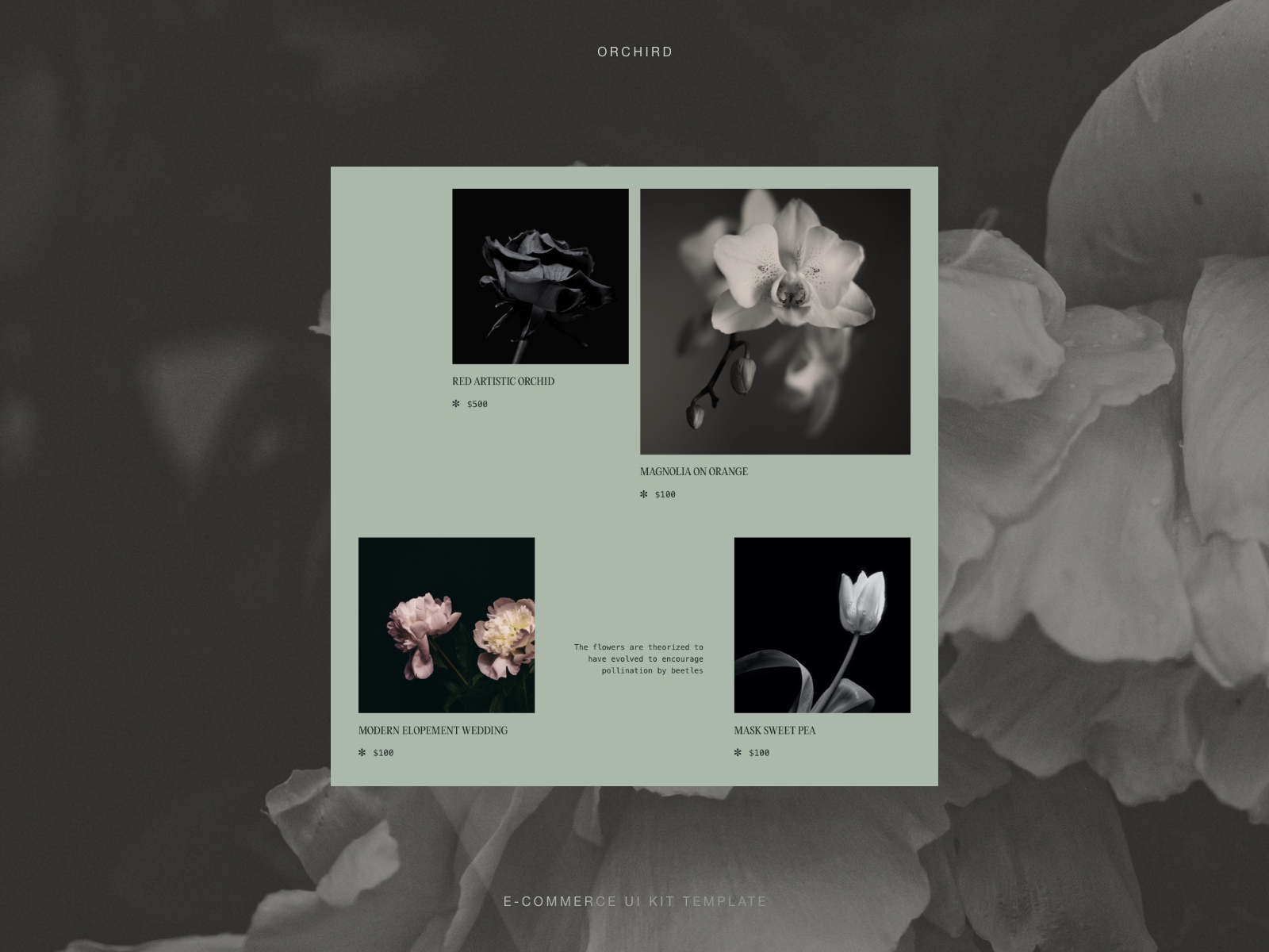 Orchid | E-commerce UI KIT Template