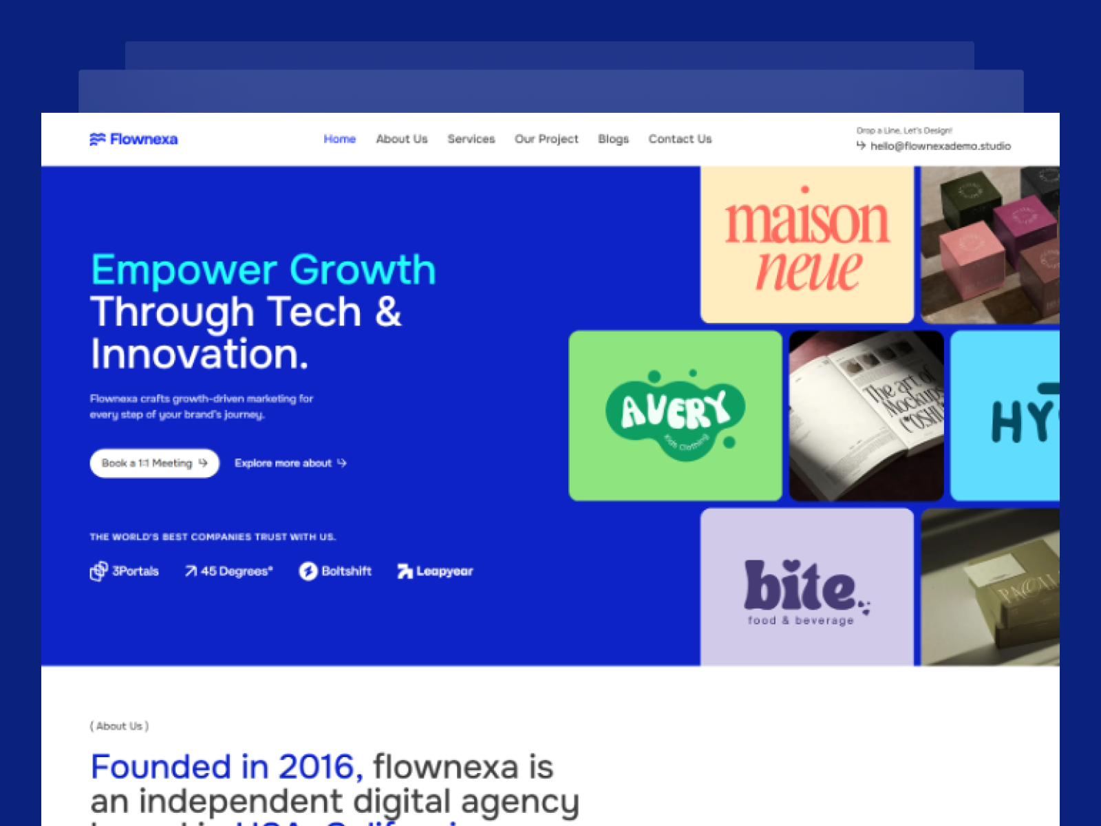 Flownexa - Creative Agency Website Template