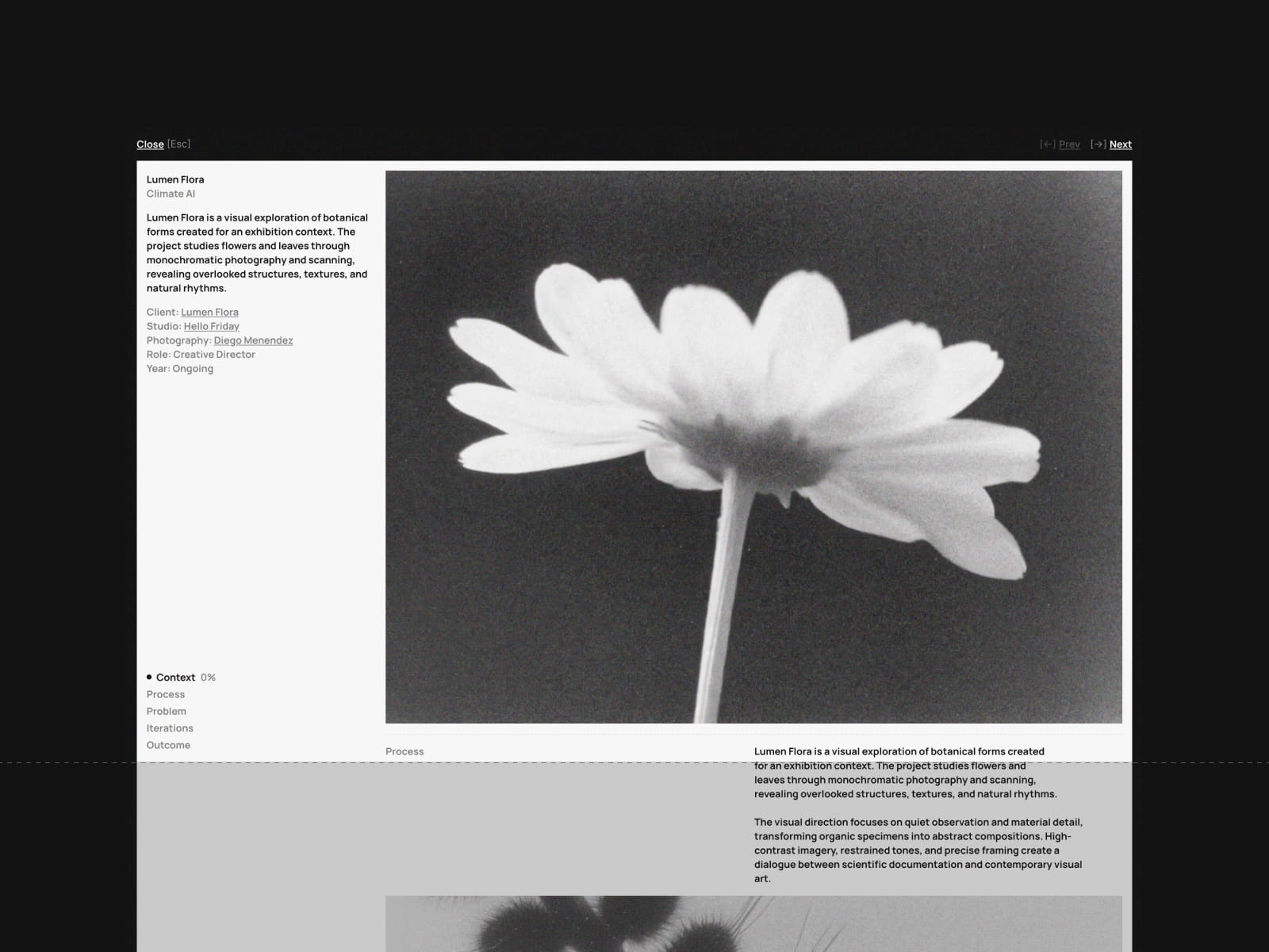 Plyń Piaty — Infinite CMS-Ready Portfolio