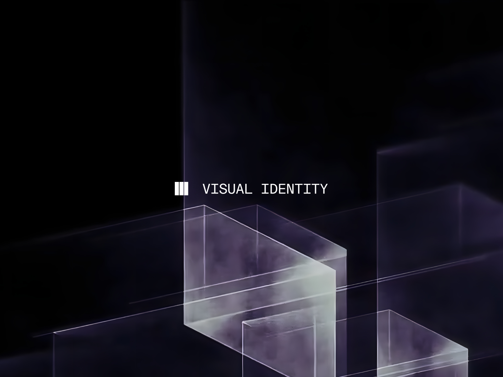 VISUAL IDENTITY