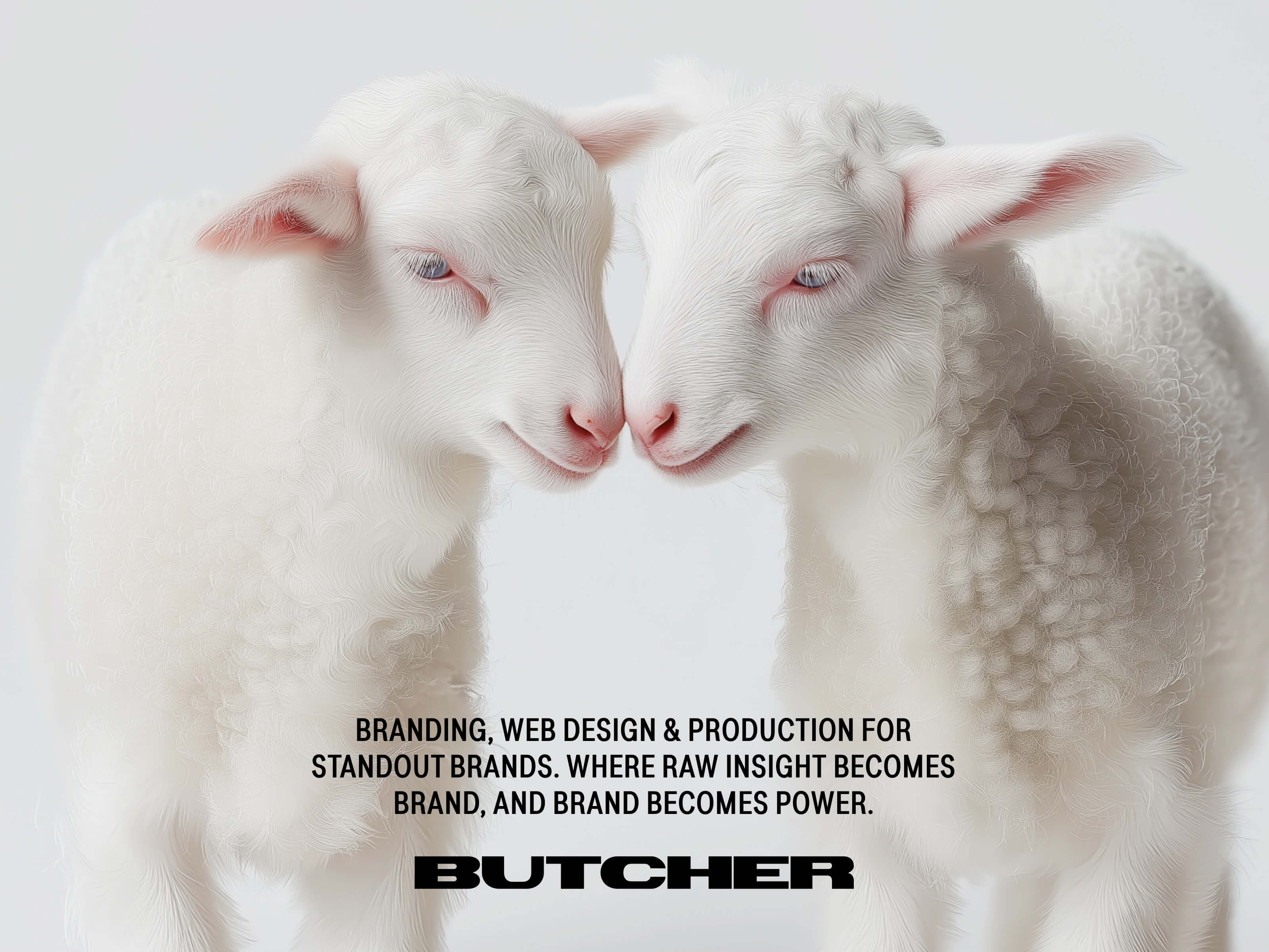 Butcher