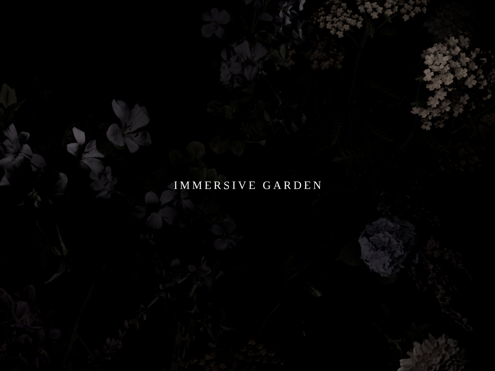 Immersive Garden