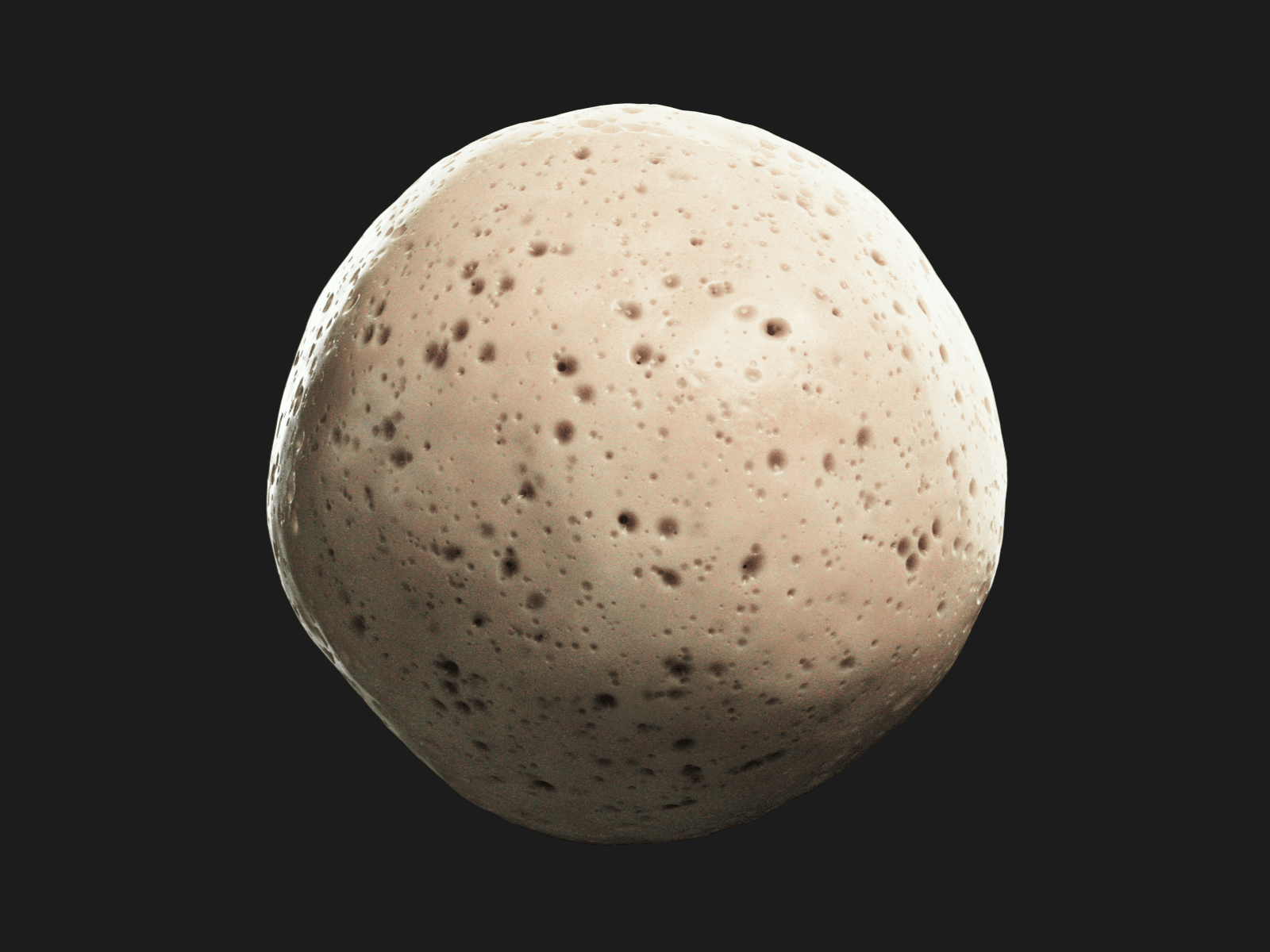 The Sourdough