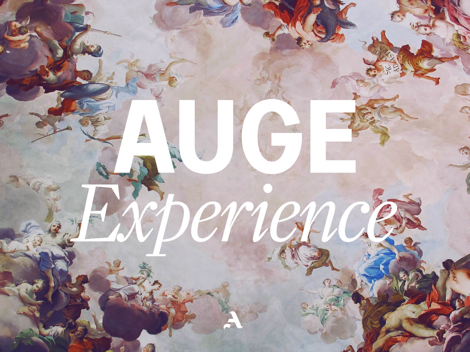 AUGE EXPERIENCE