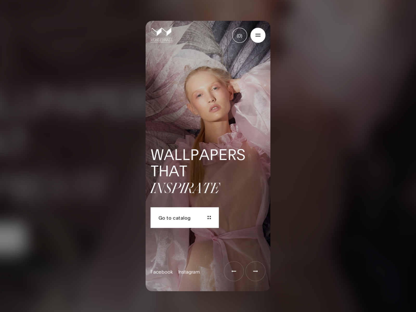 Wonderwall is a powerful desktop wallpaper manager  LinuxMaster Club