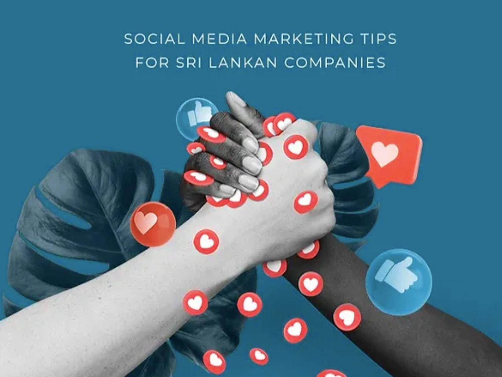 Blog Article - 10 Social Media Marketing Tips for Sri Lankan Companies