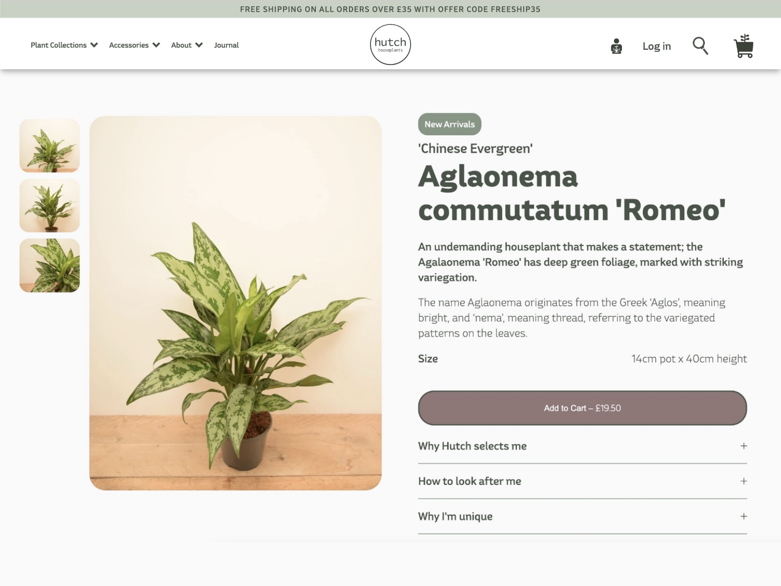 Hutch Houseplants Product Page