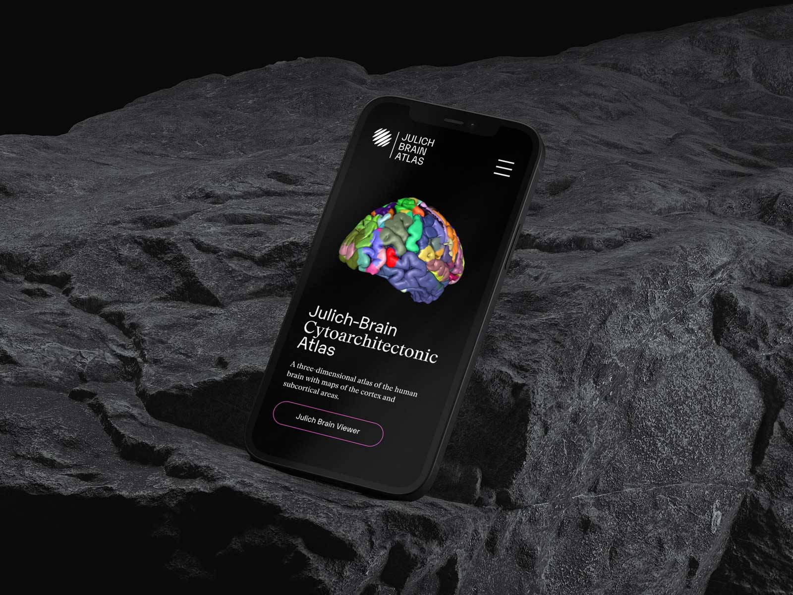 A three-dimensional atlas of the human brain
