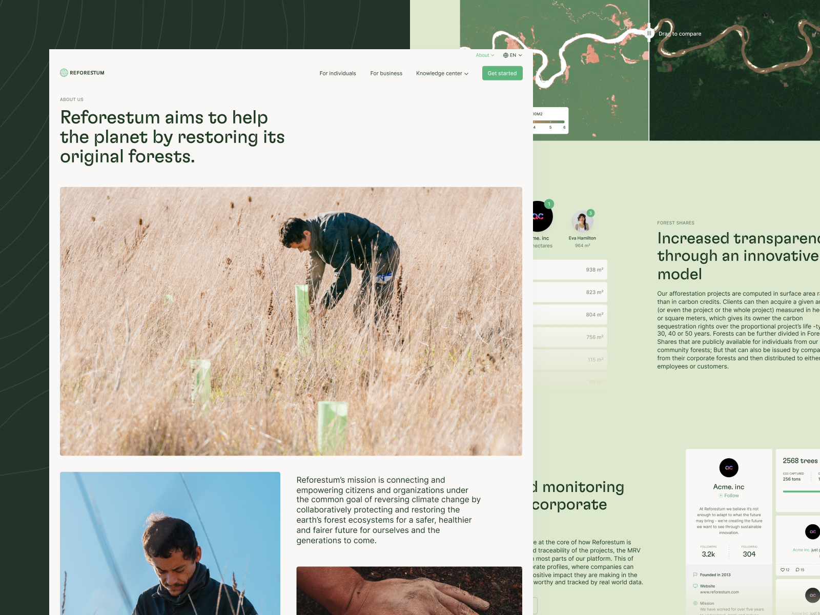 Reforestum About Page and API