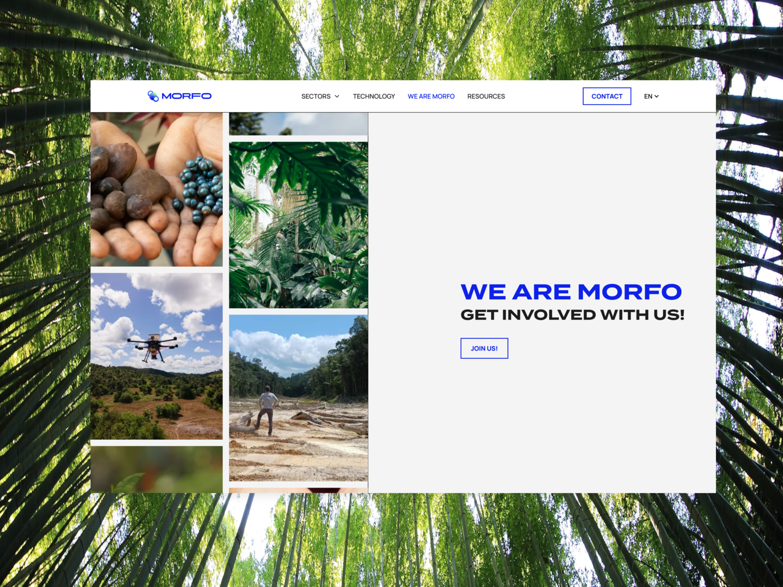 We are morfo - Animation header