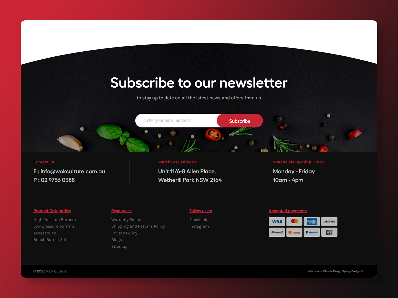 Footer Design with Newsletter signup