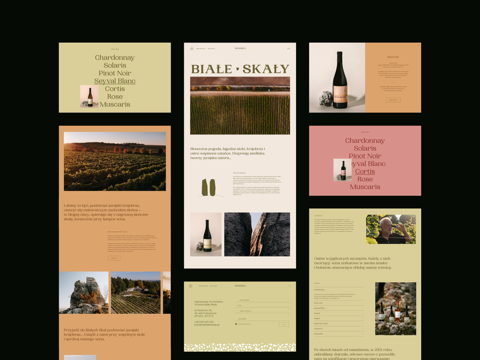 Vineyard | Desktop