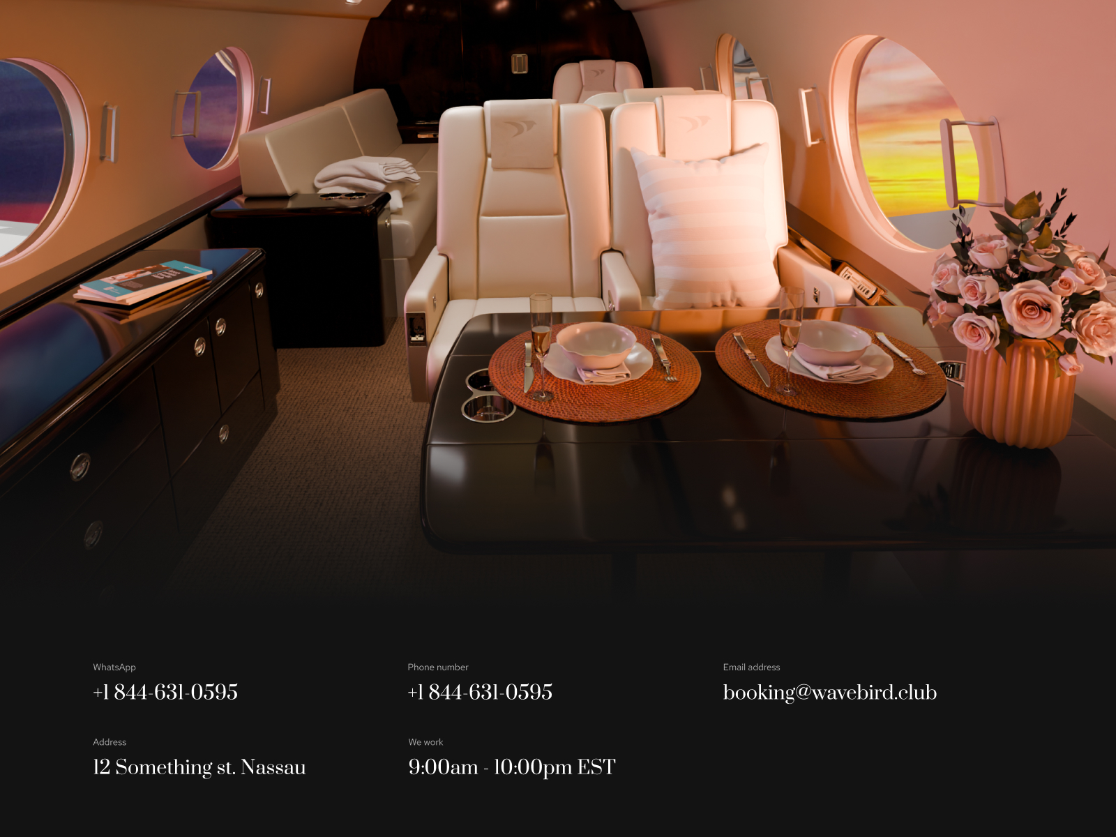 Luxury aviation club website footer design