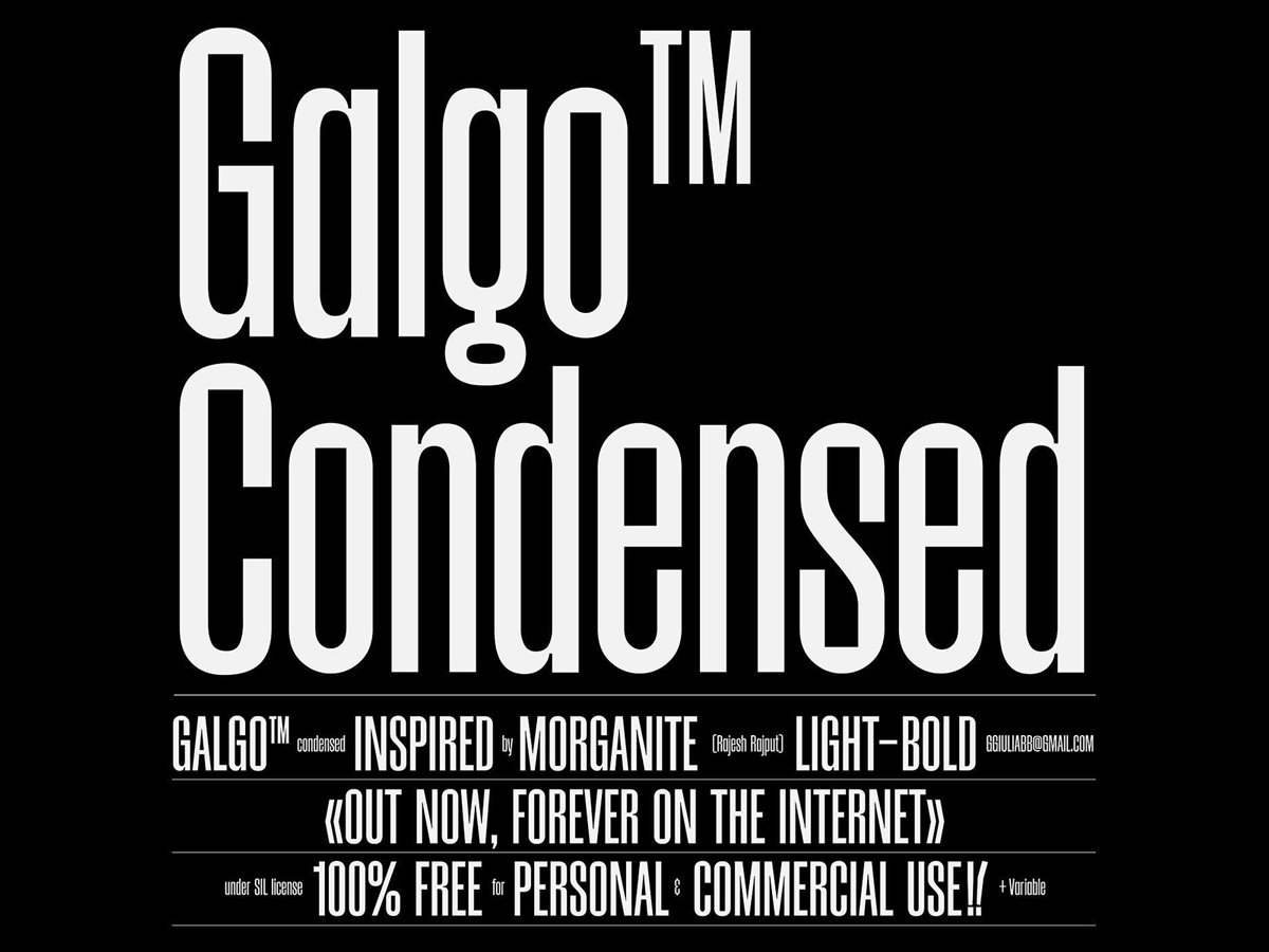 Galgo Condensed by Giulia Boggio