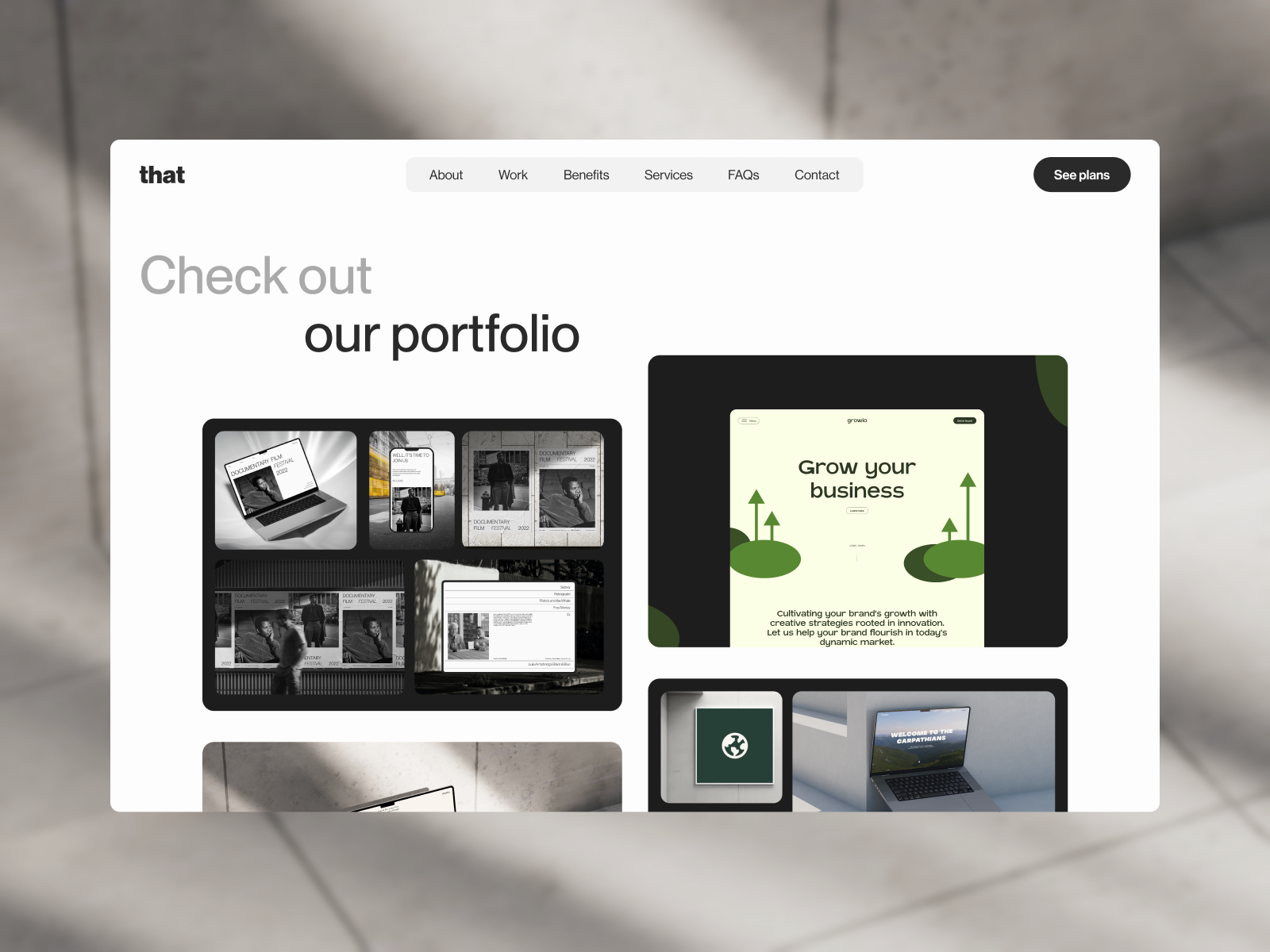 Portfolio section - DesignThat