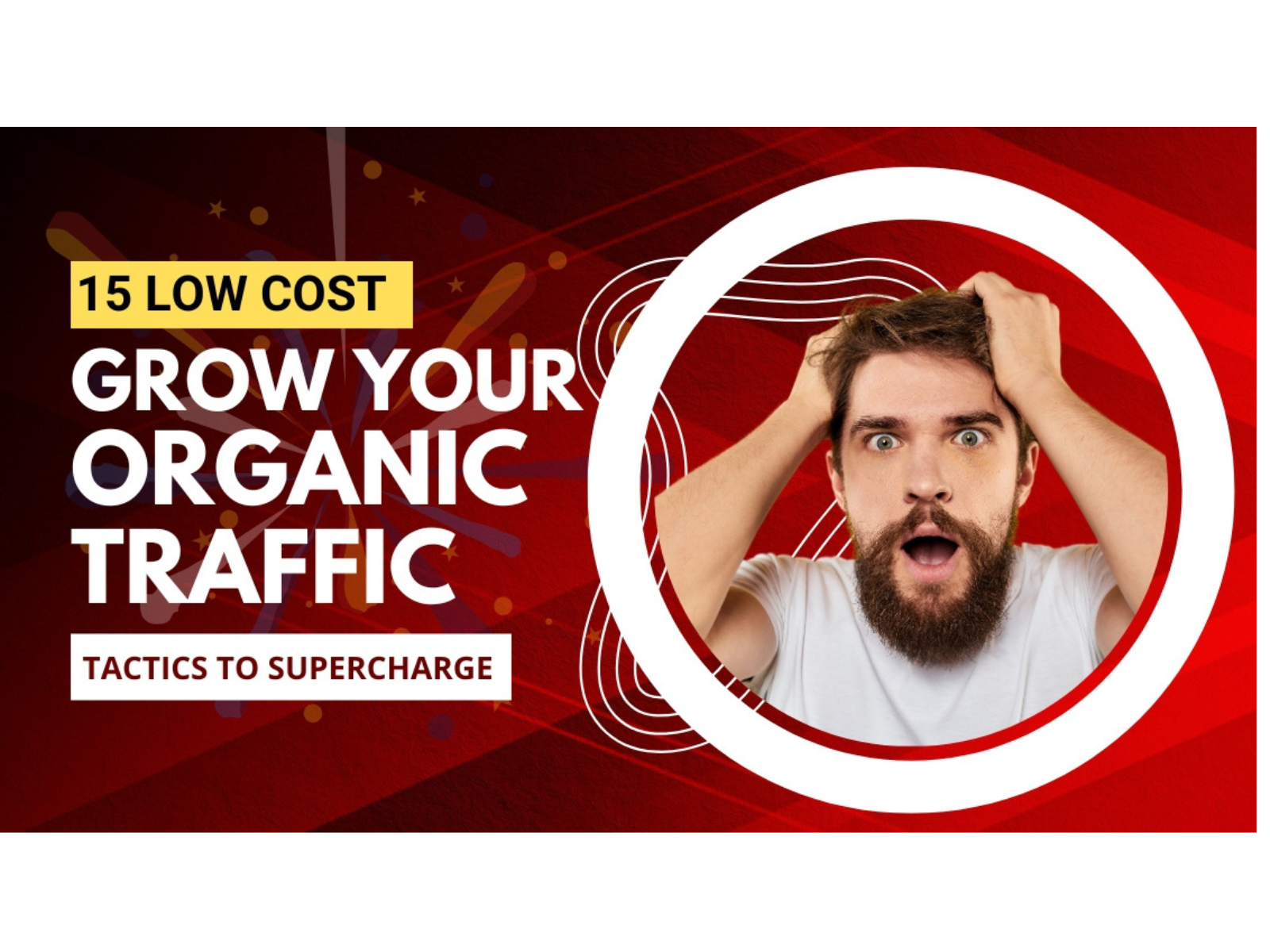 Organic Website Traffic (Targeted & Visitors)