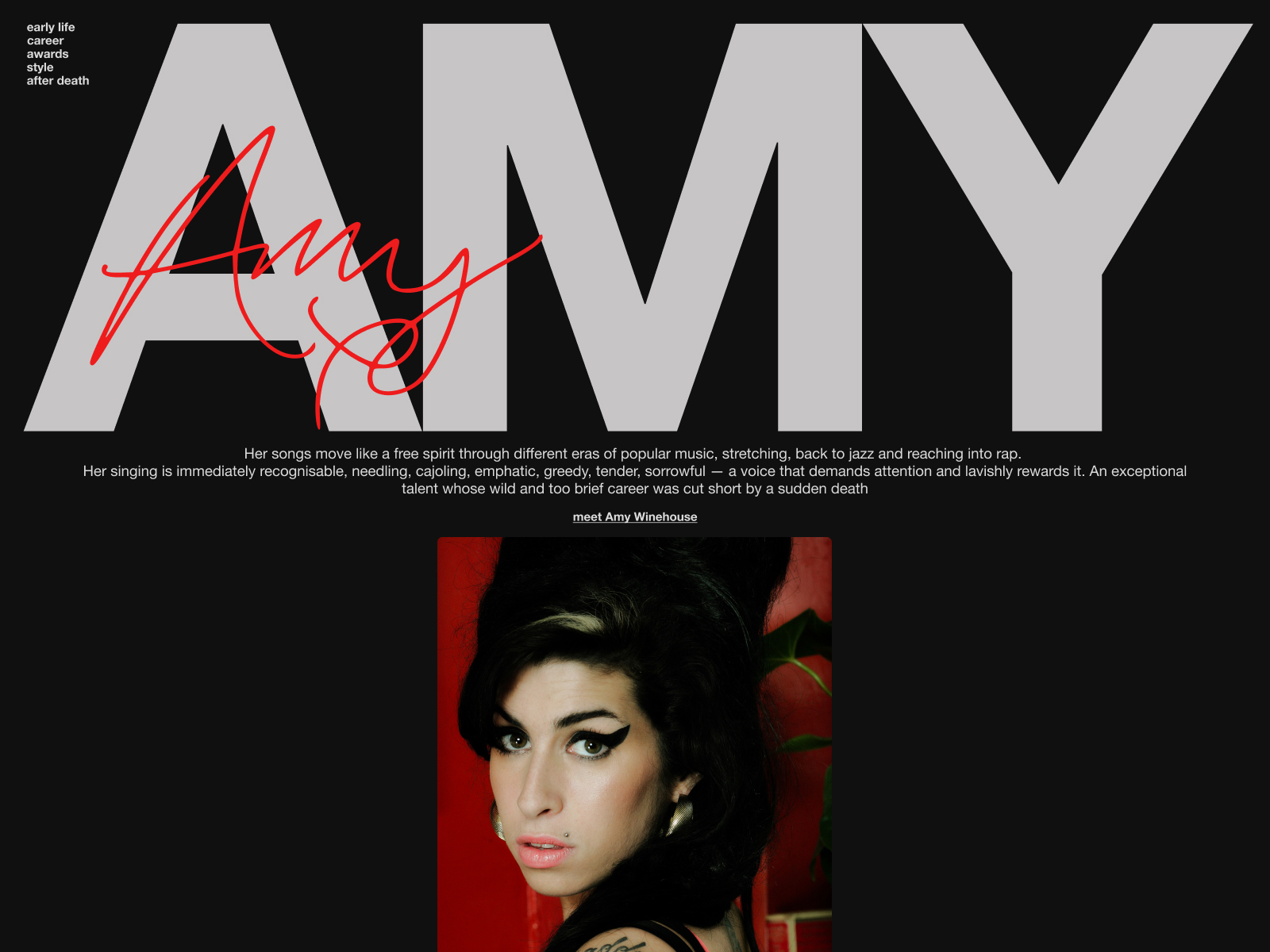 Amy's main screen