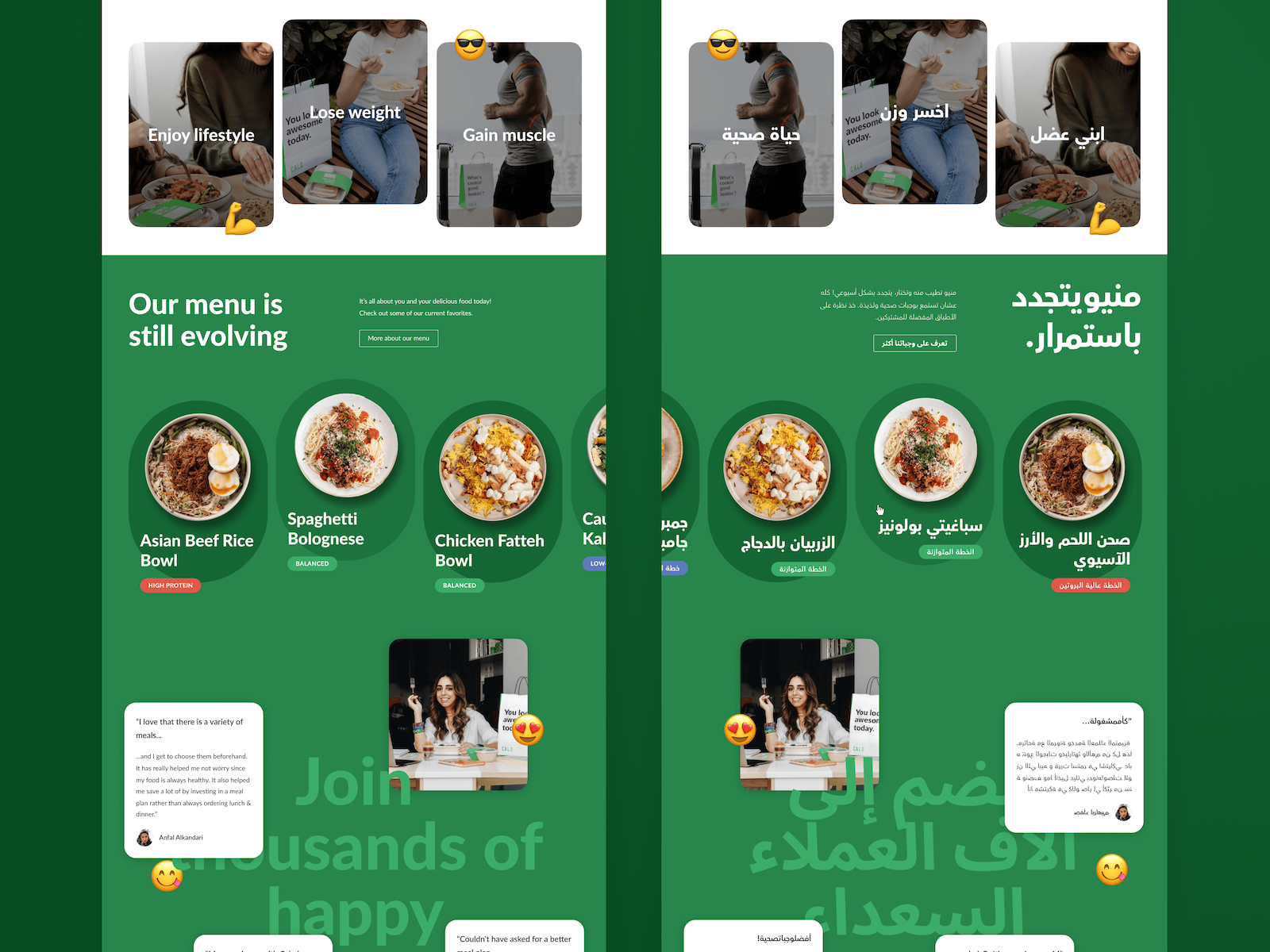 Multilingual Website Design