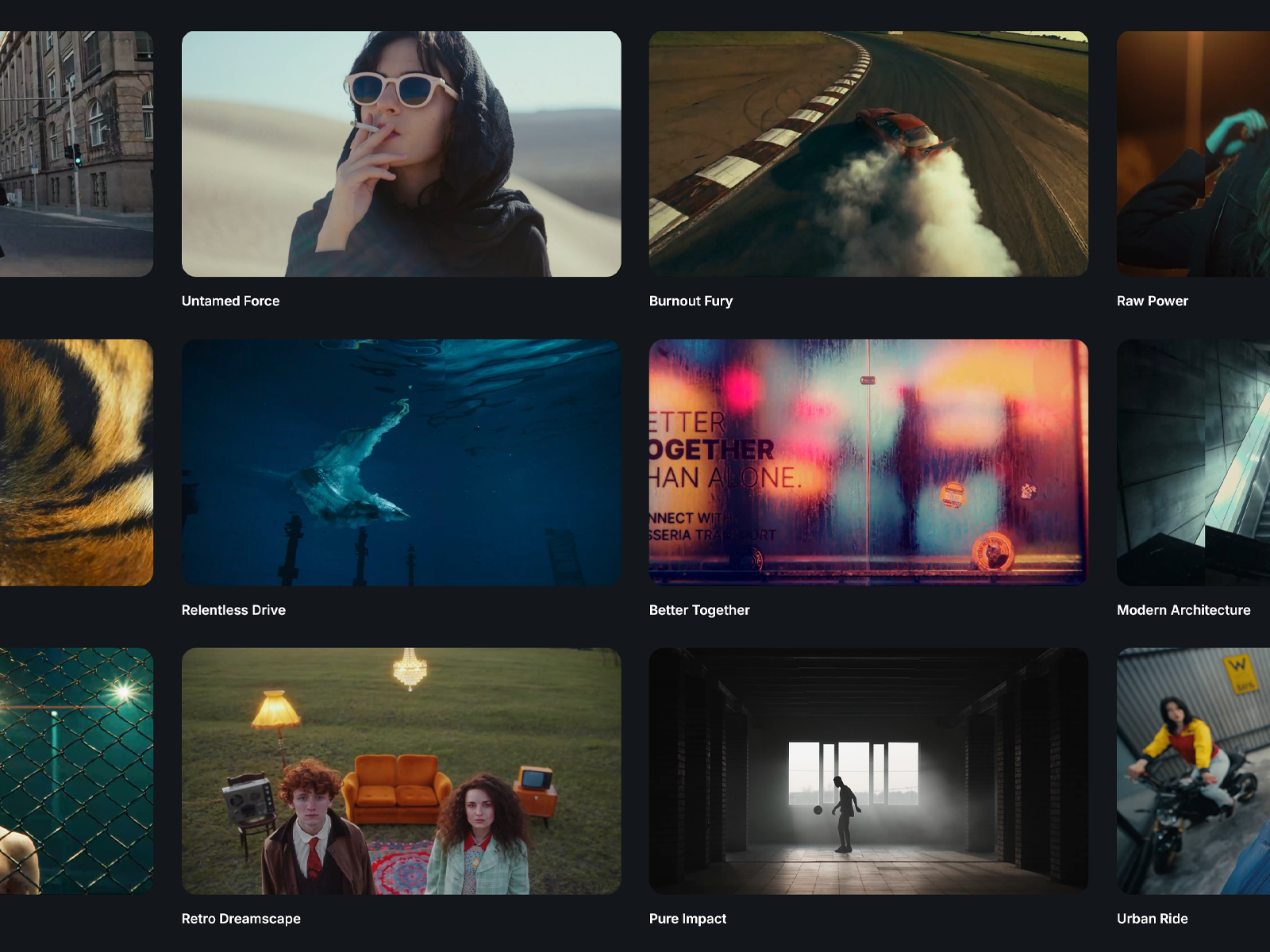 Showcase of Masterful Visual Storytelling