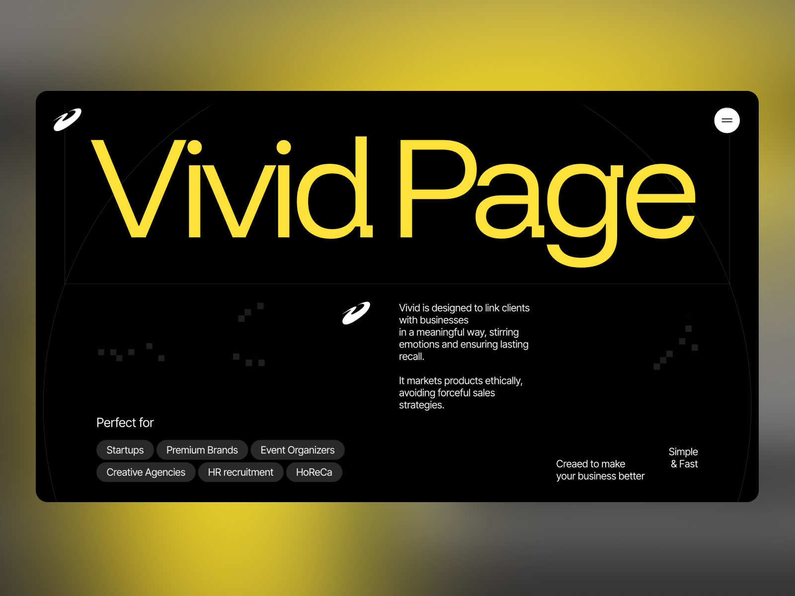 About Vivid Page