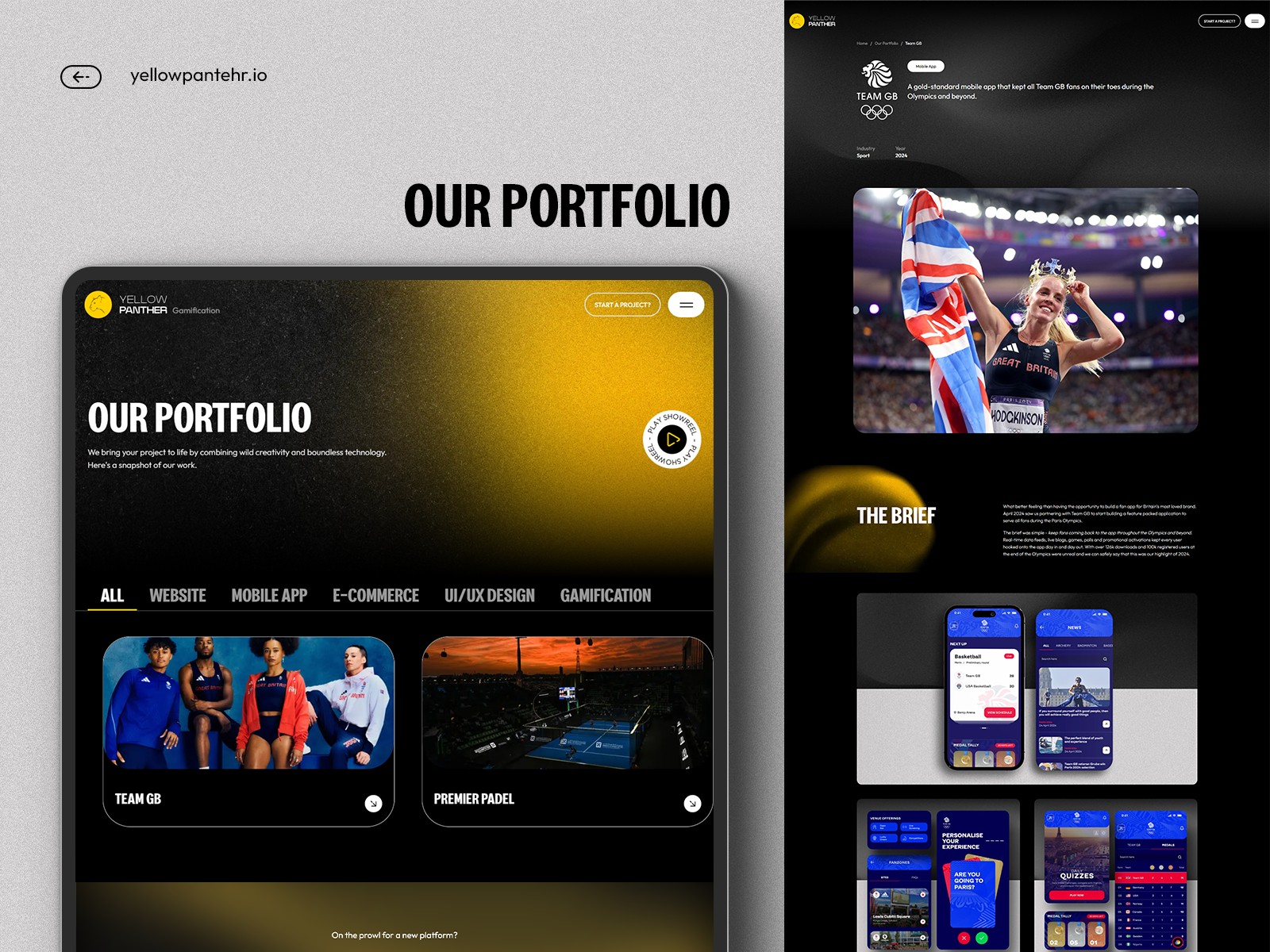 Our Portfolio