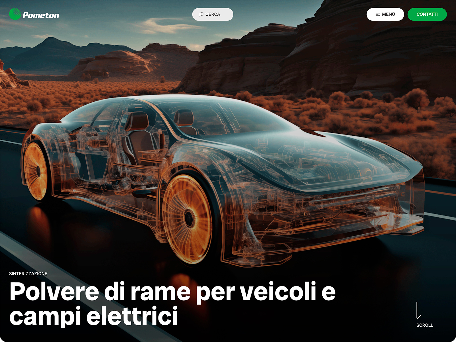 Project page