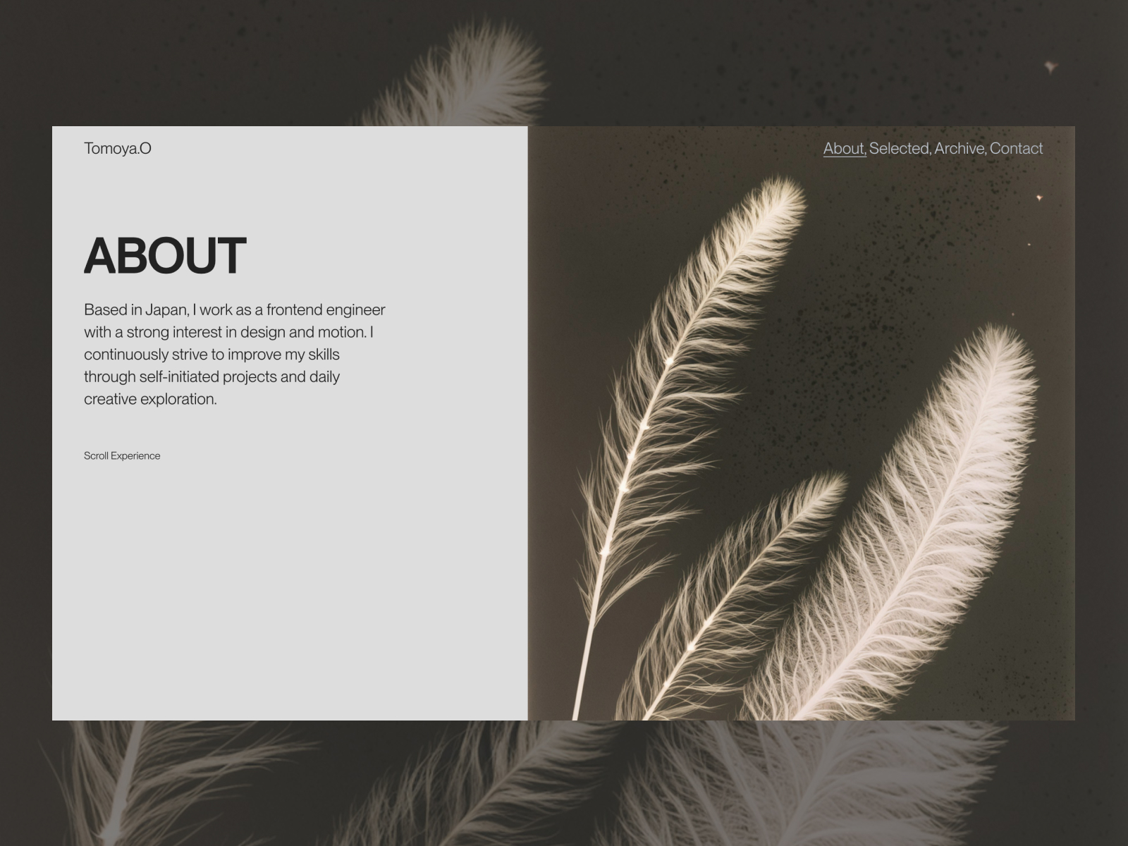 AboutPage