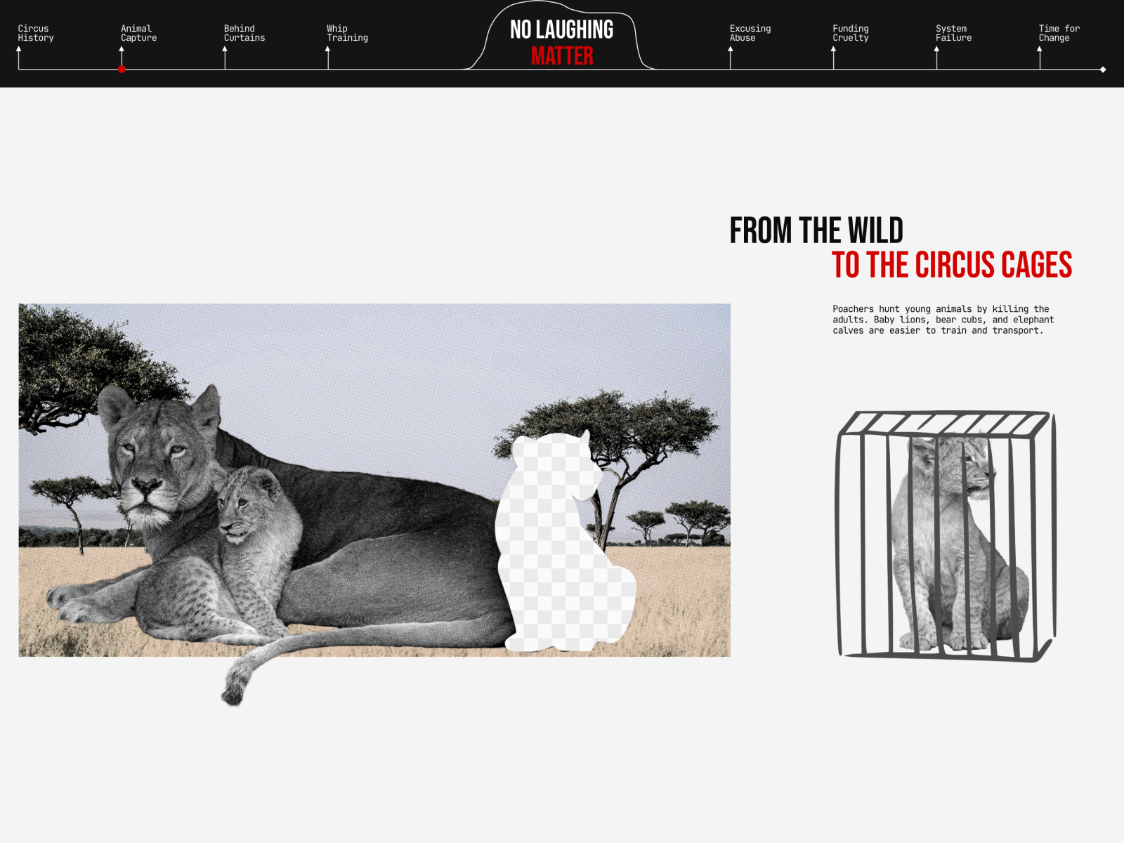 Animal Capture