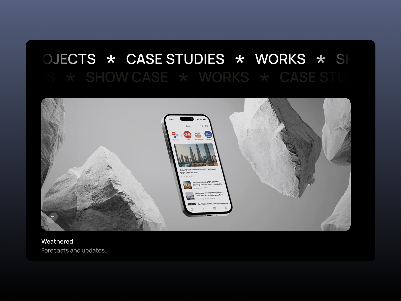 Case studies