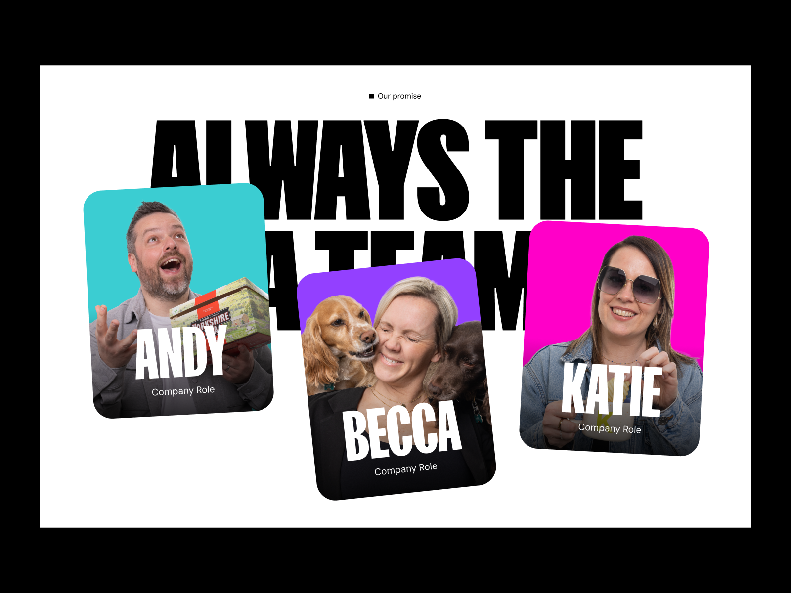 Meet The Team