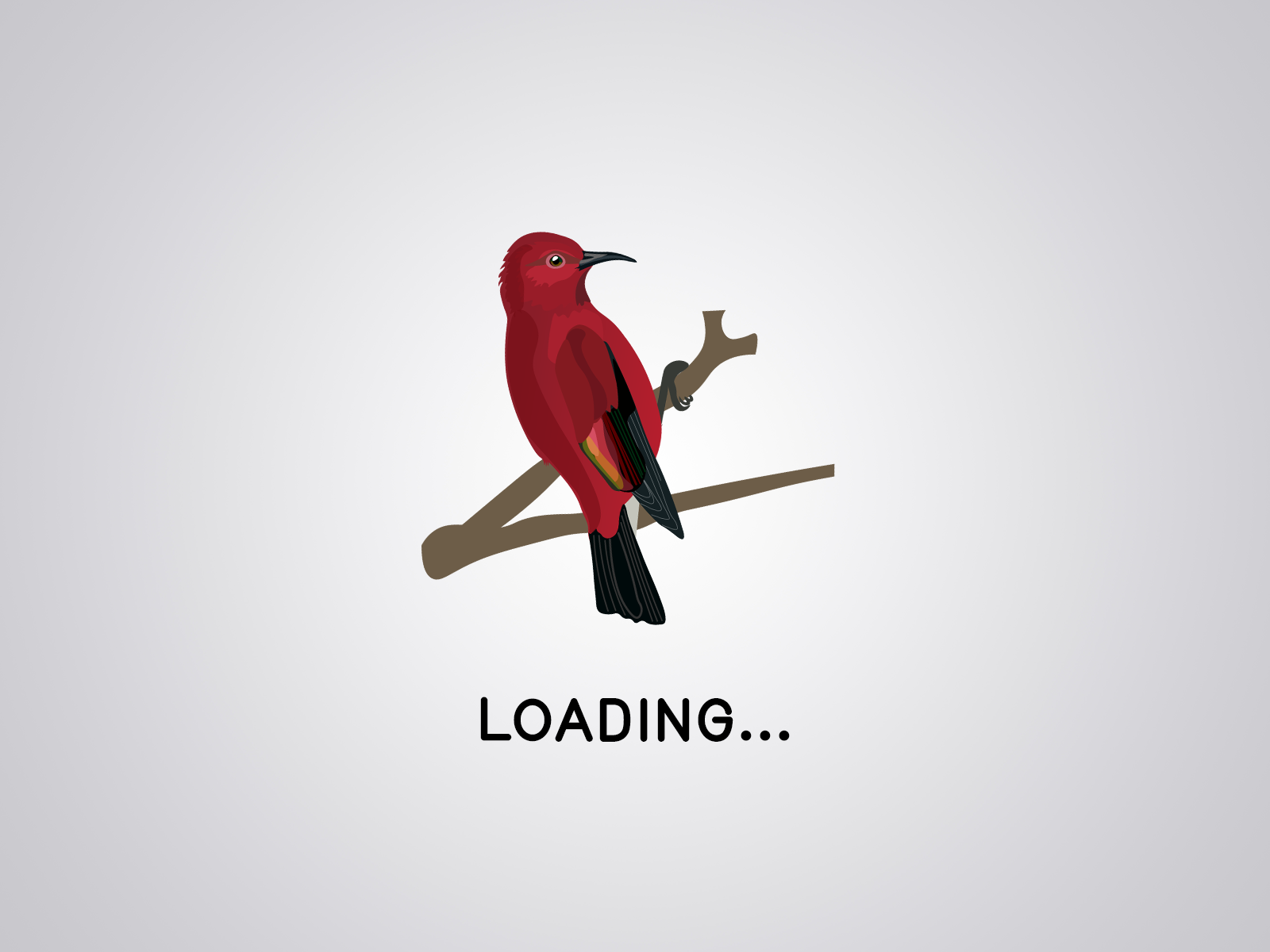 Laysan ʻapapane loading screen