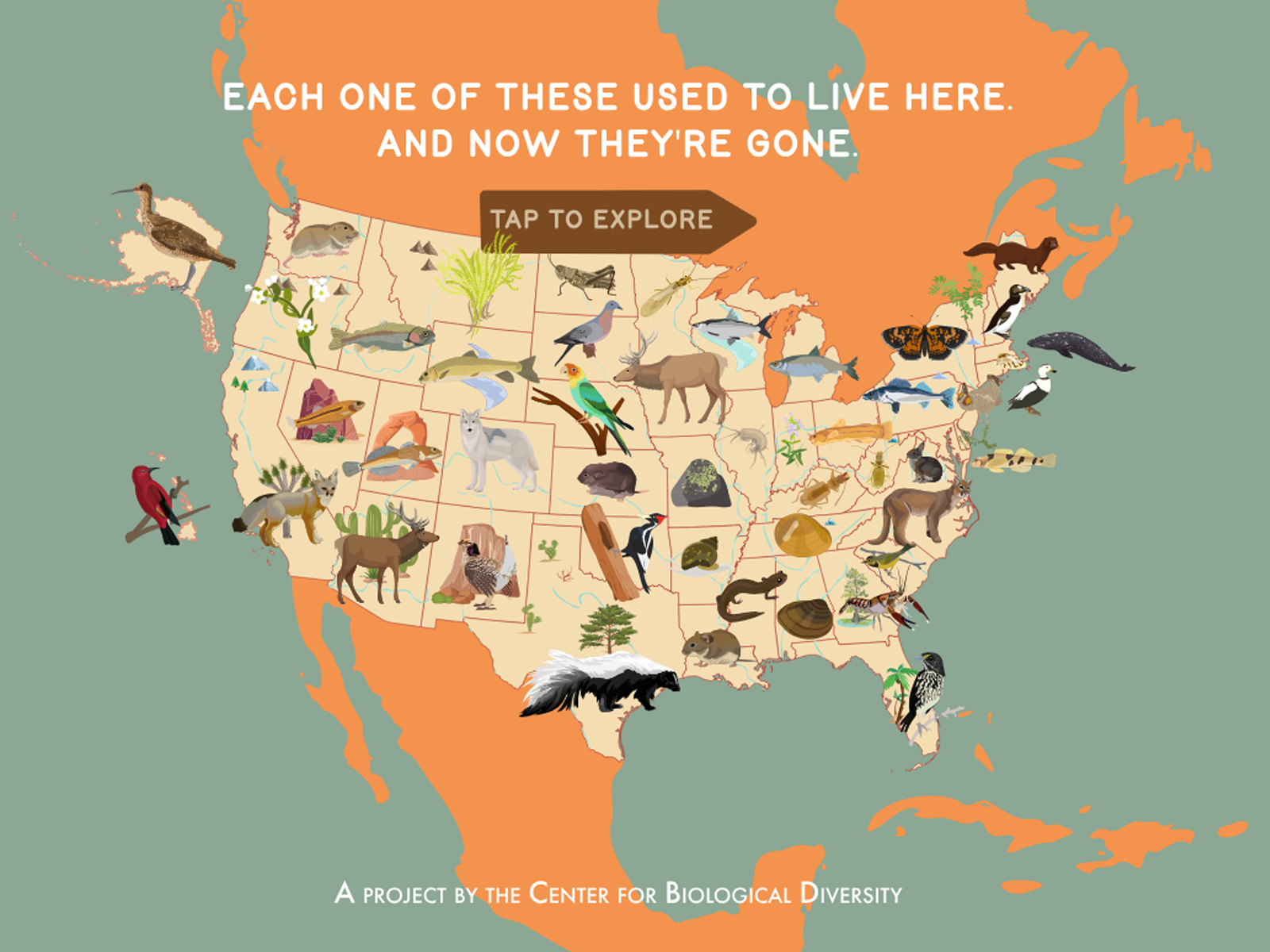 Extinction map