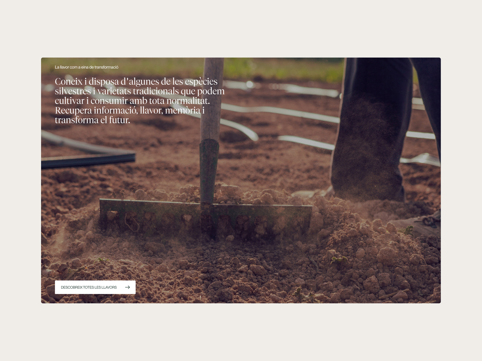 Seed page recirculation module