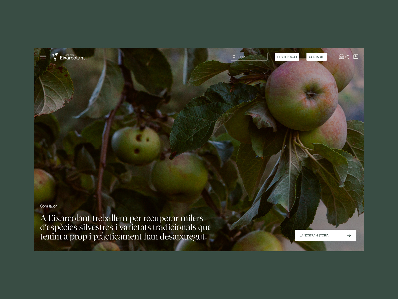 Desktop