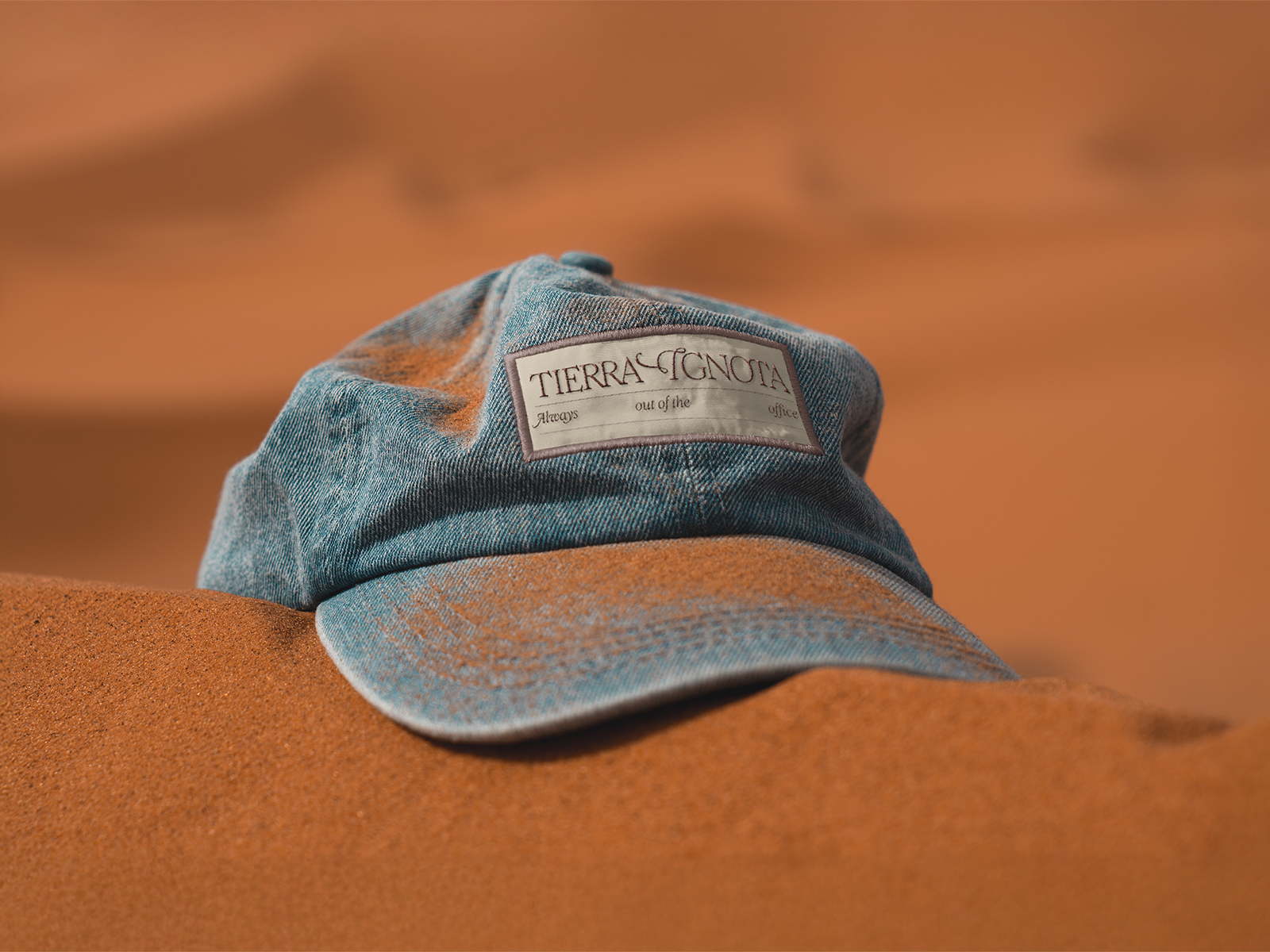Brand Identity