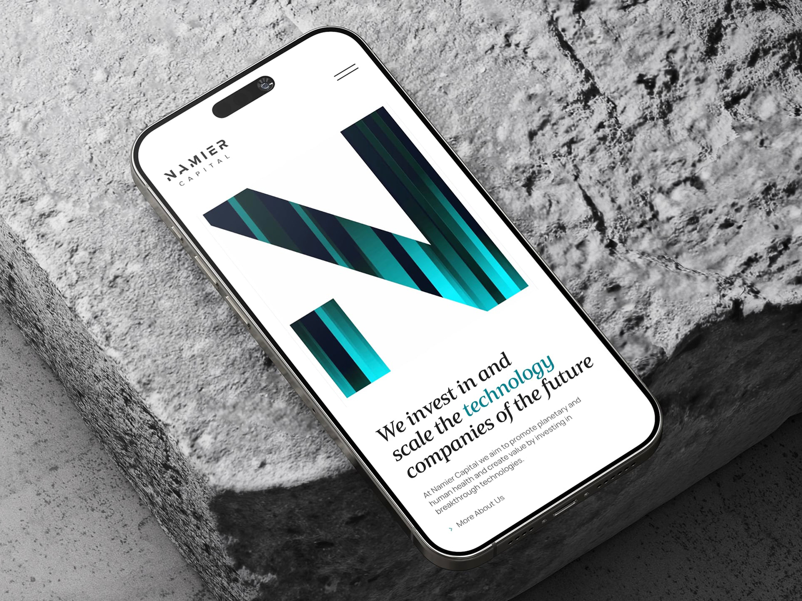 Website introduction