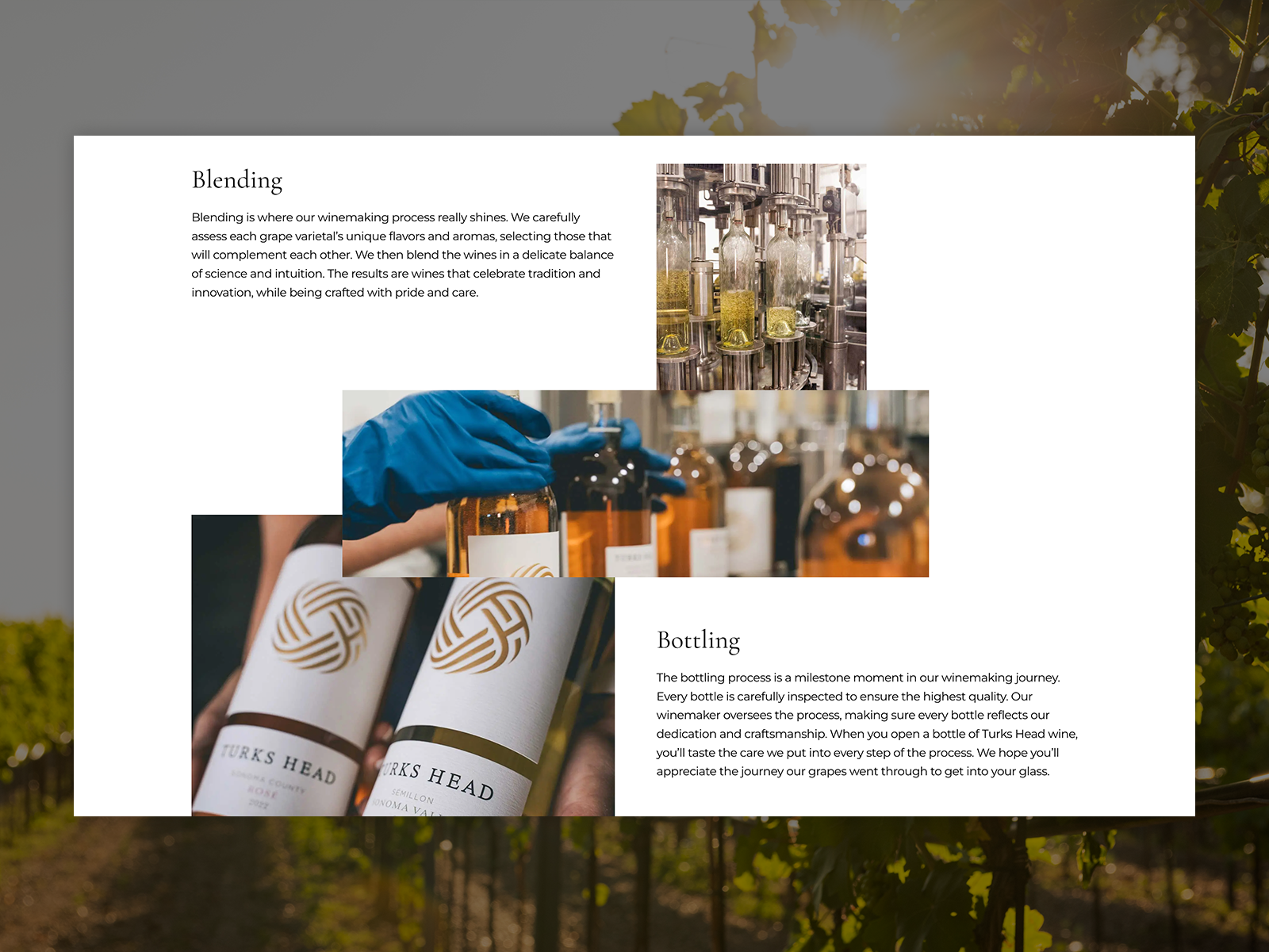 Winemaking