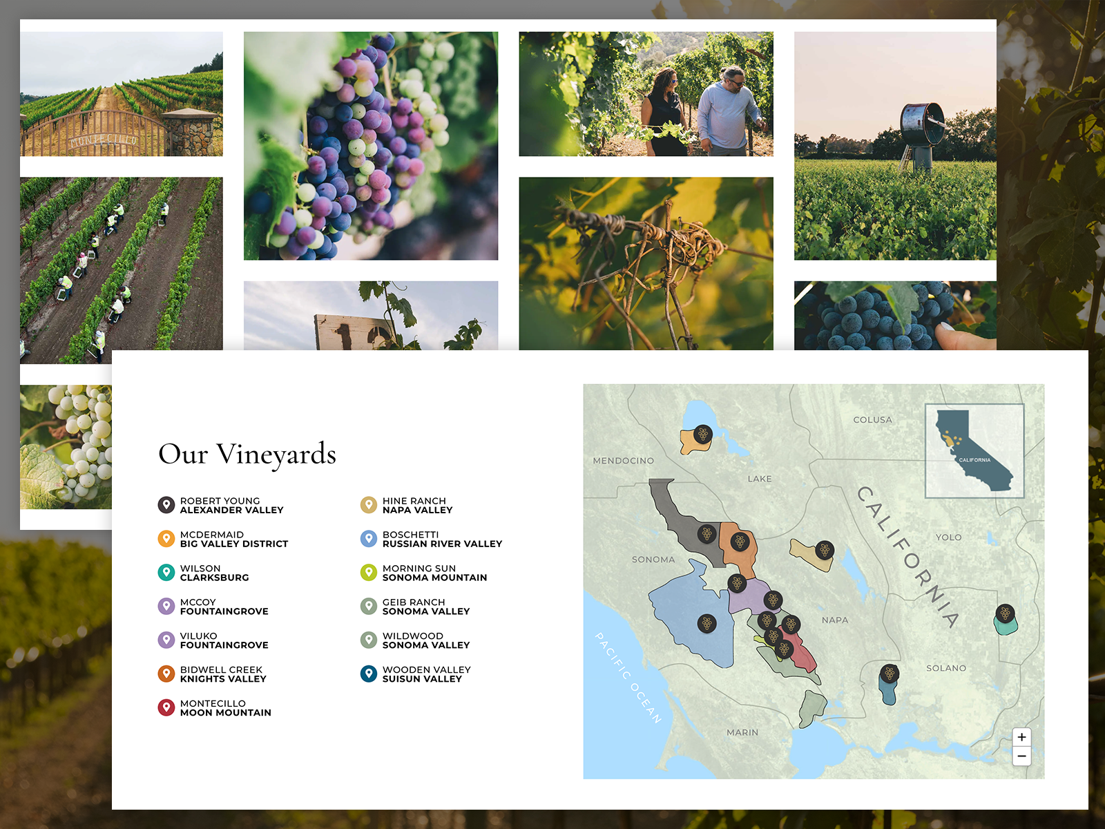Vineyards