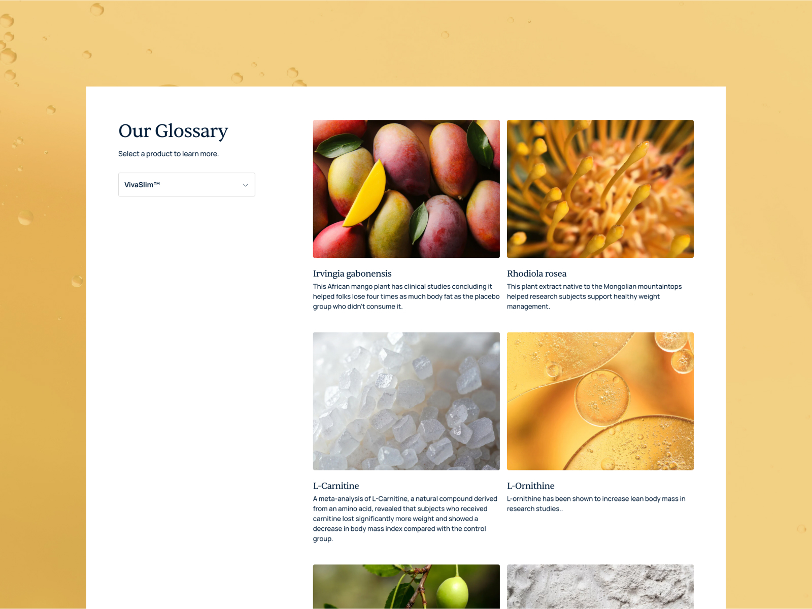 Ingredient Glossary