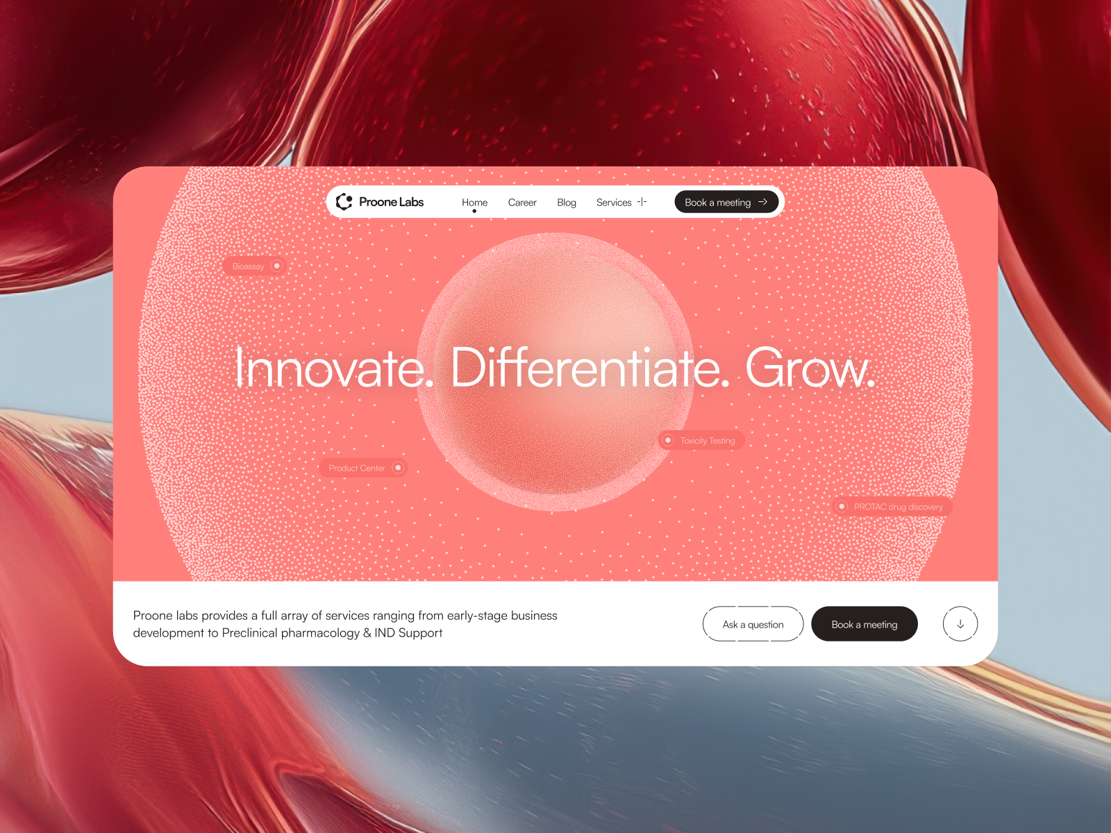 Home Page