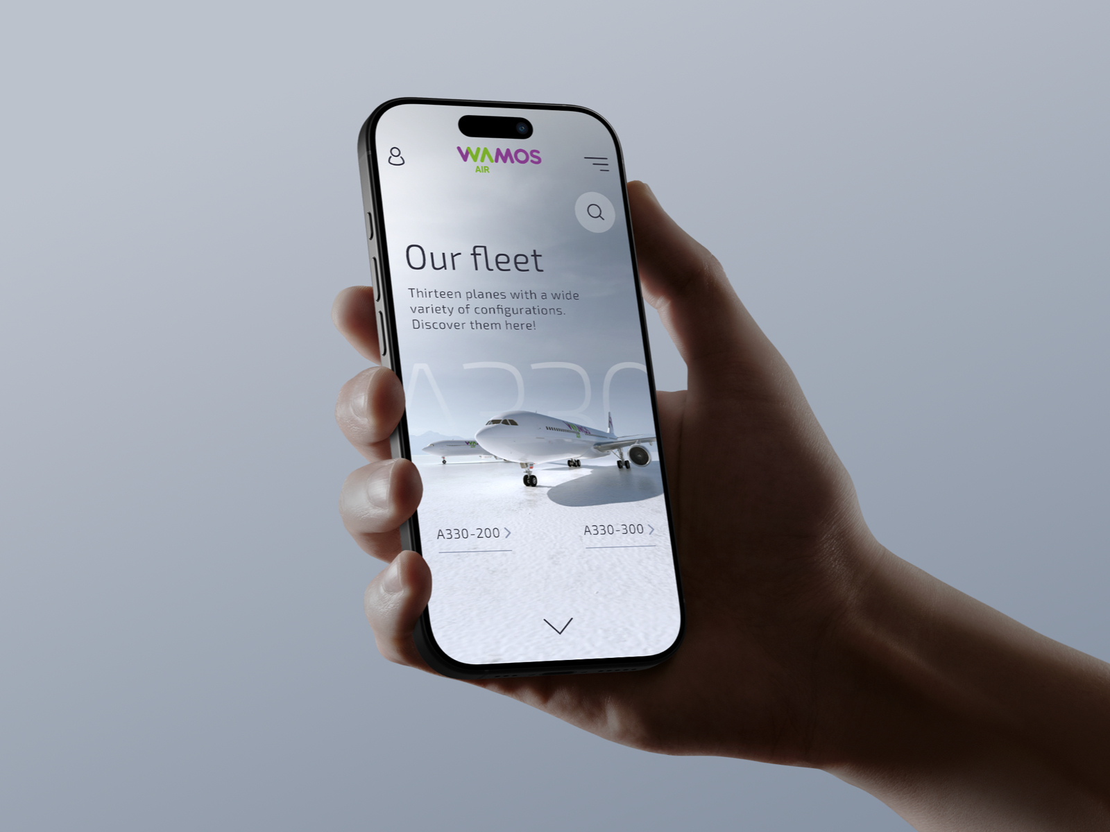 Our fleet detail