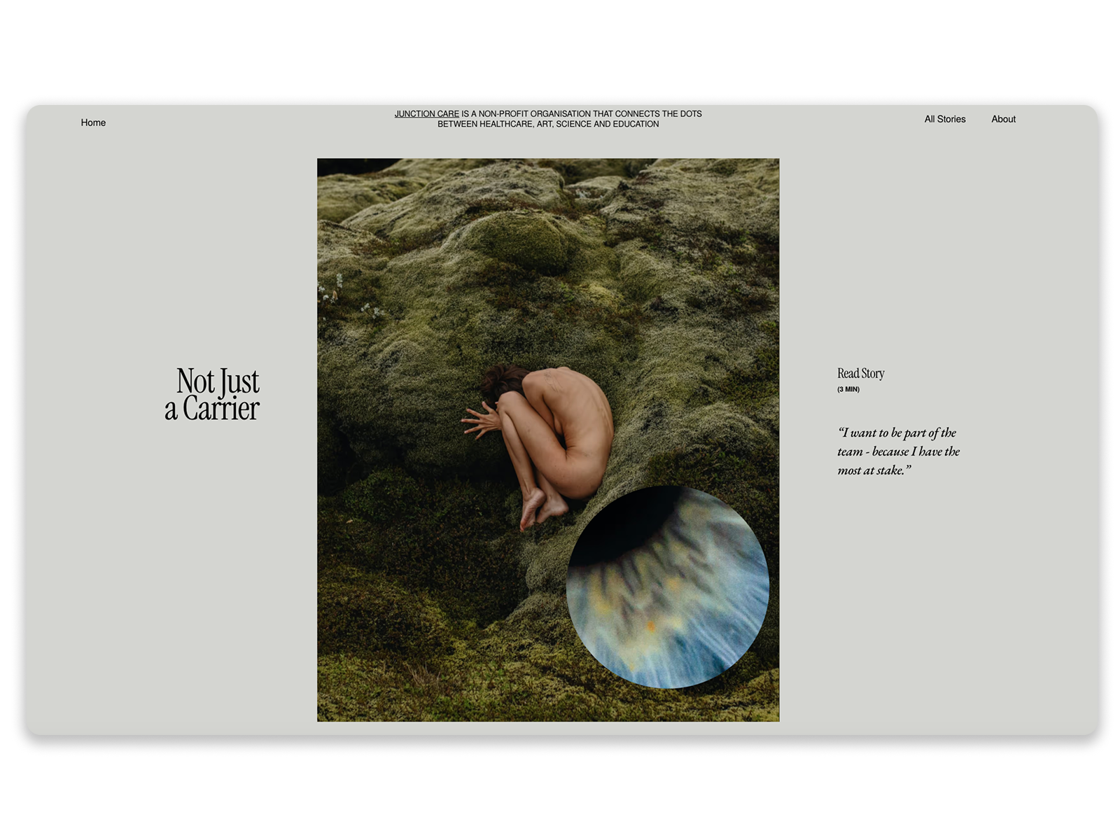 Story overview - animation