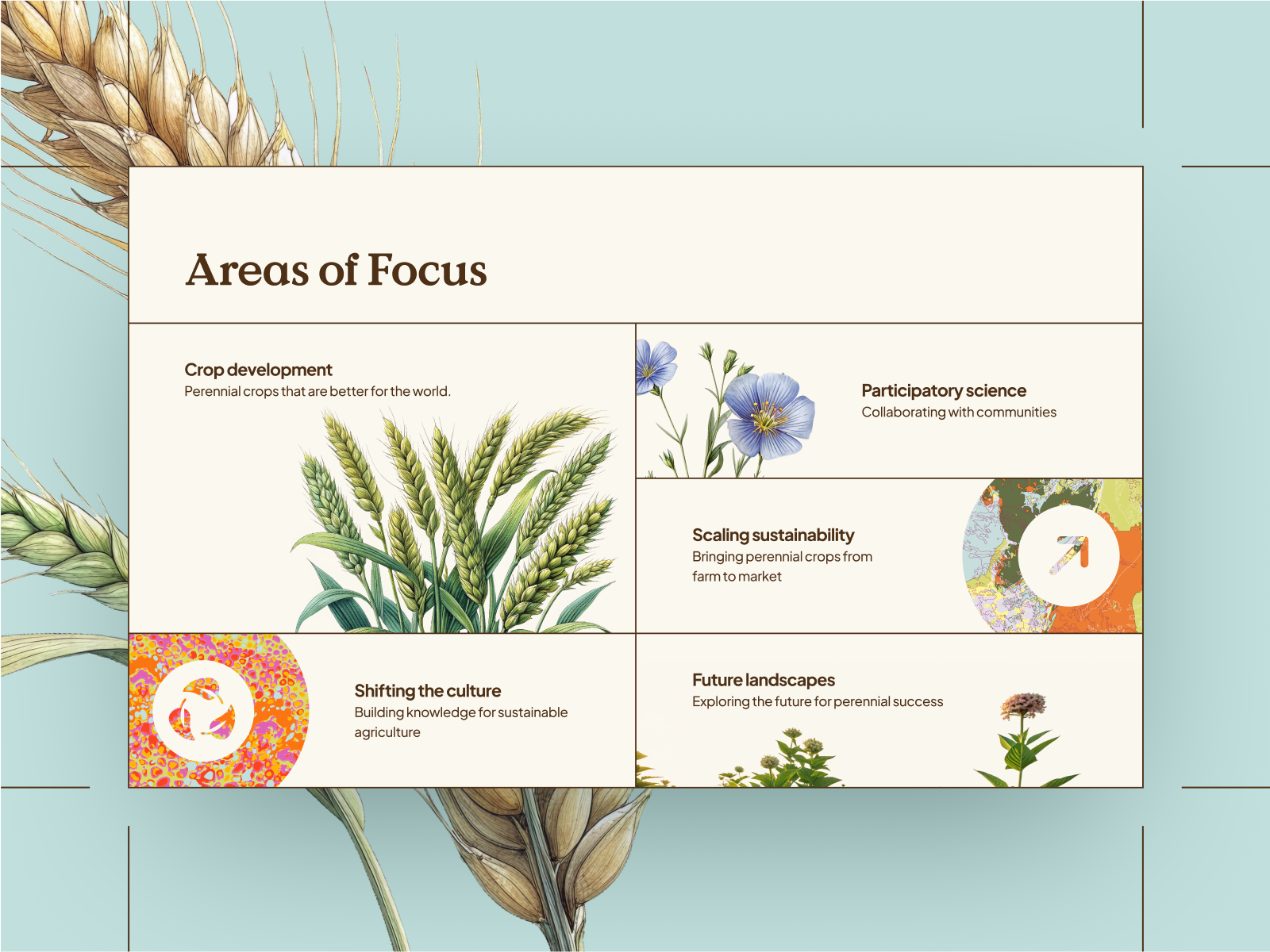 Focus Areas
