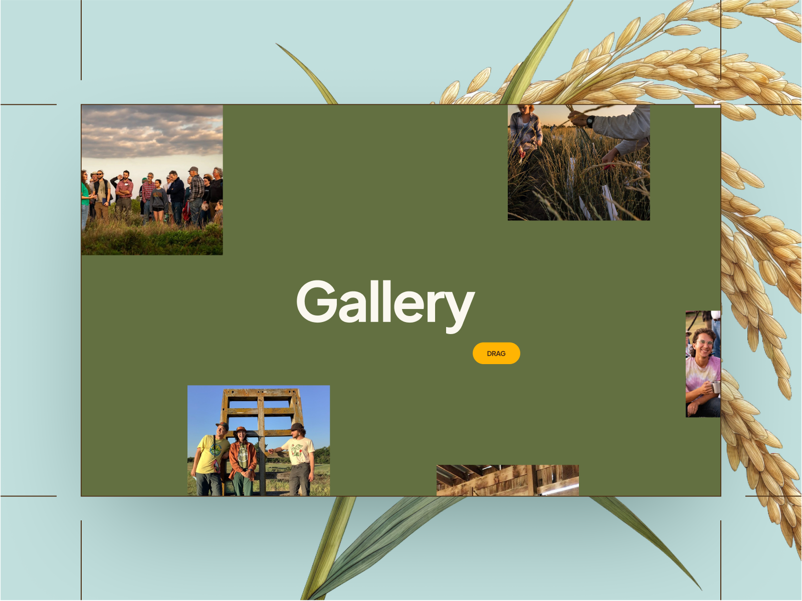 Images