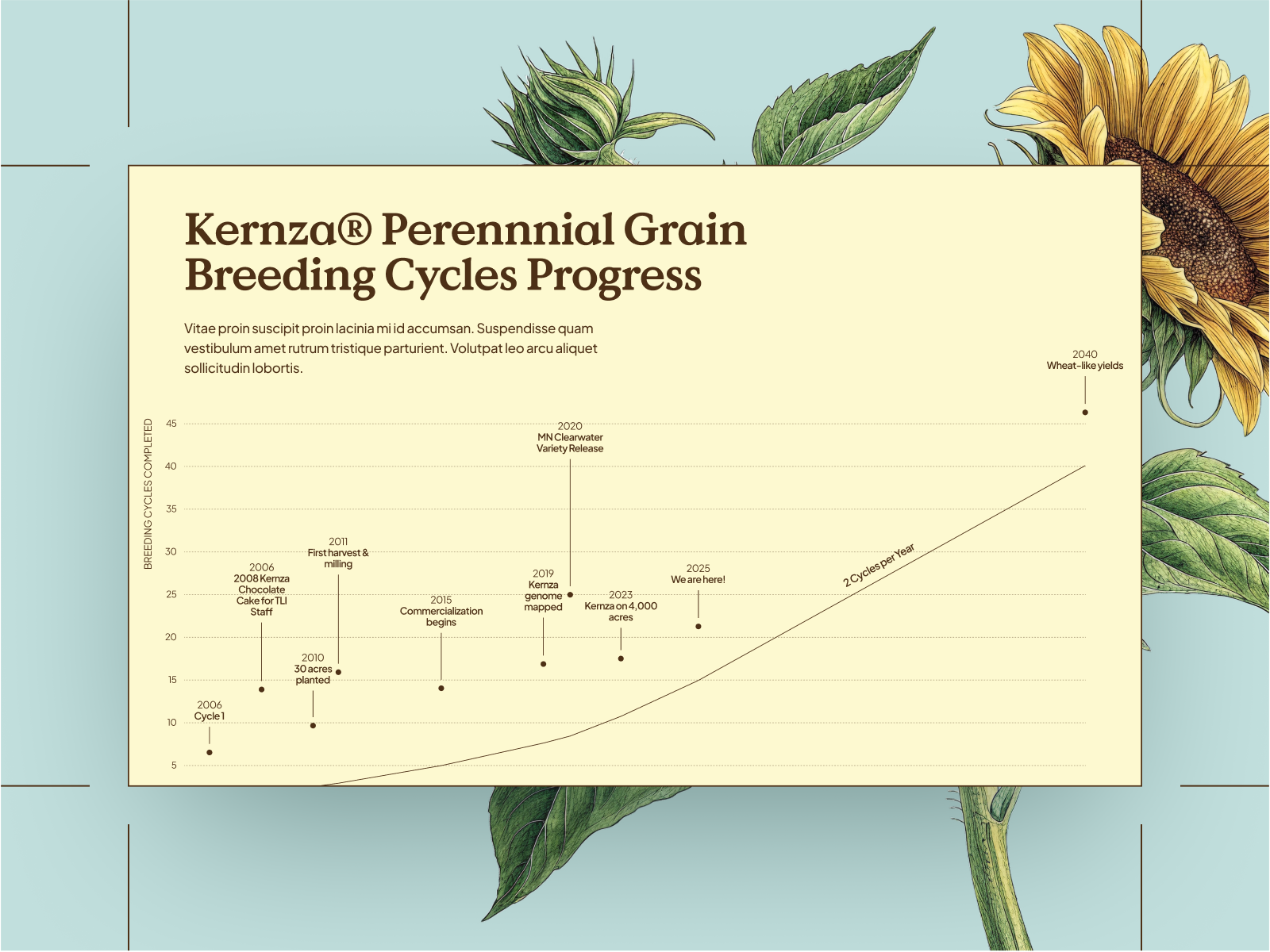 Progress Chart