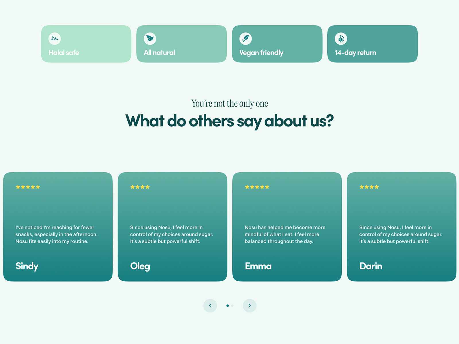 Landing Page - Continued