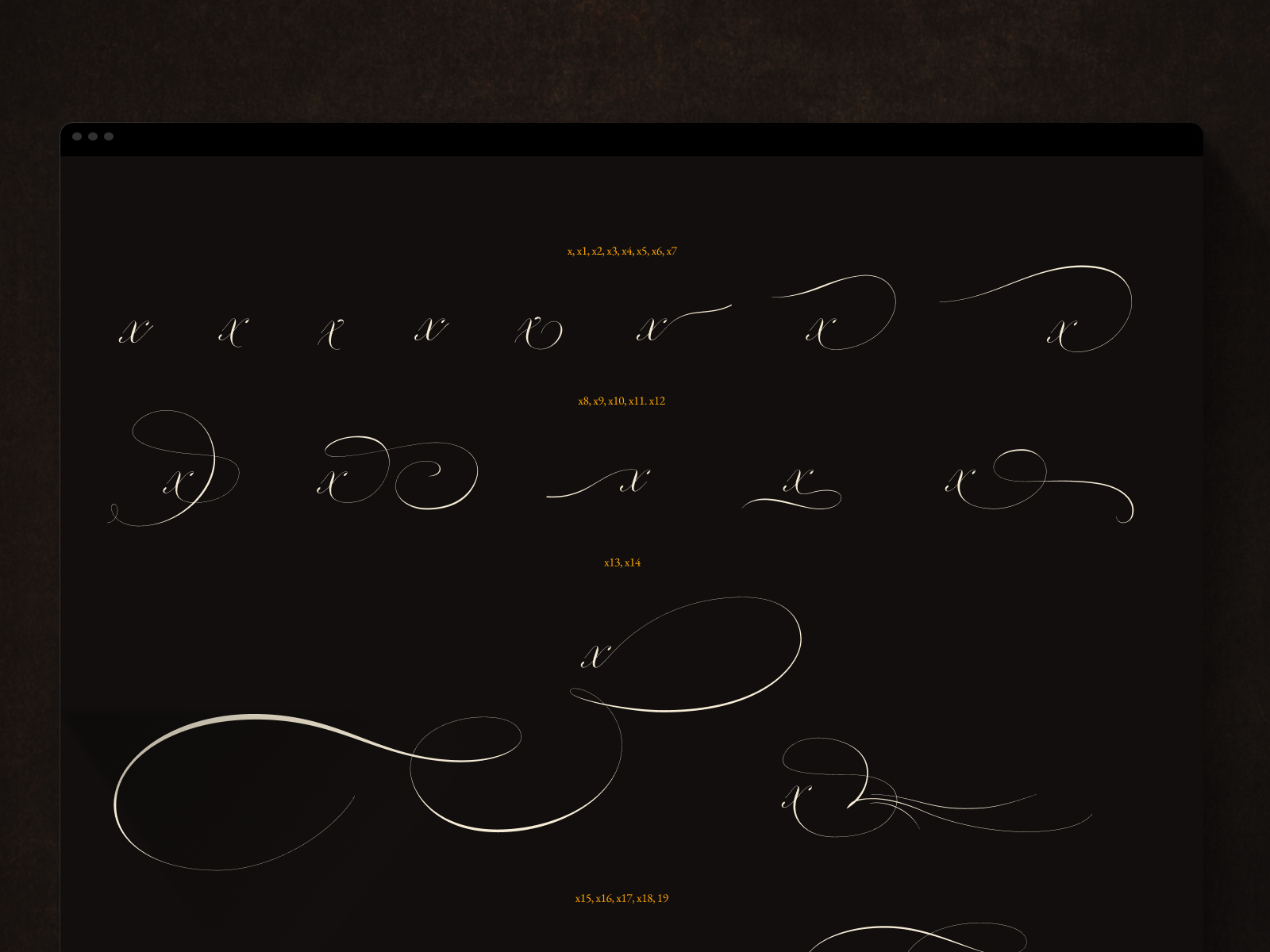 Illustrations & typefonts