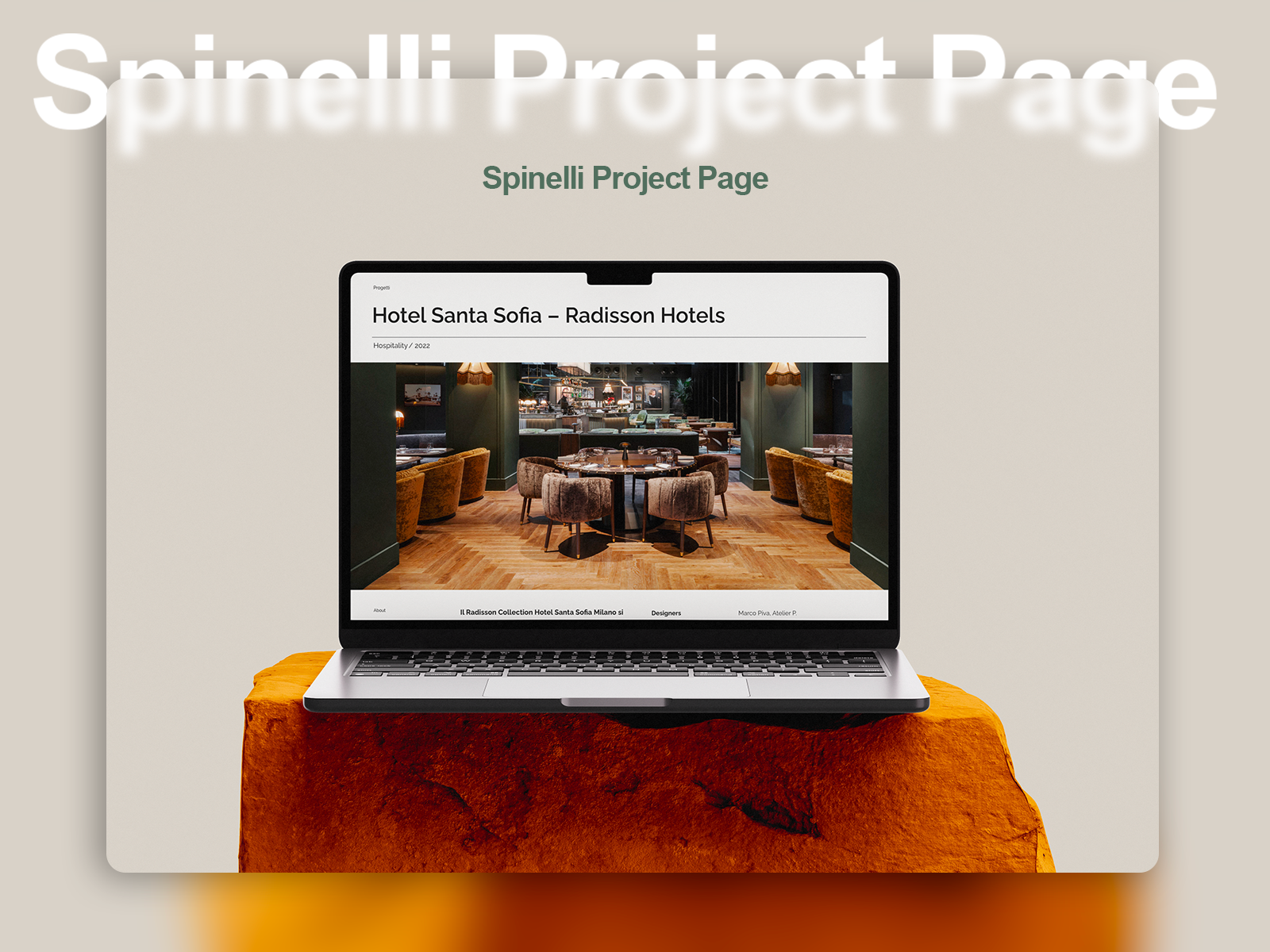 Project Page