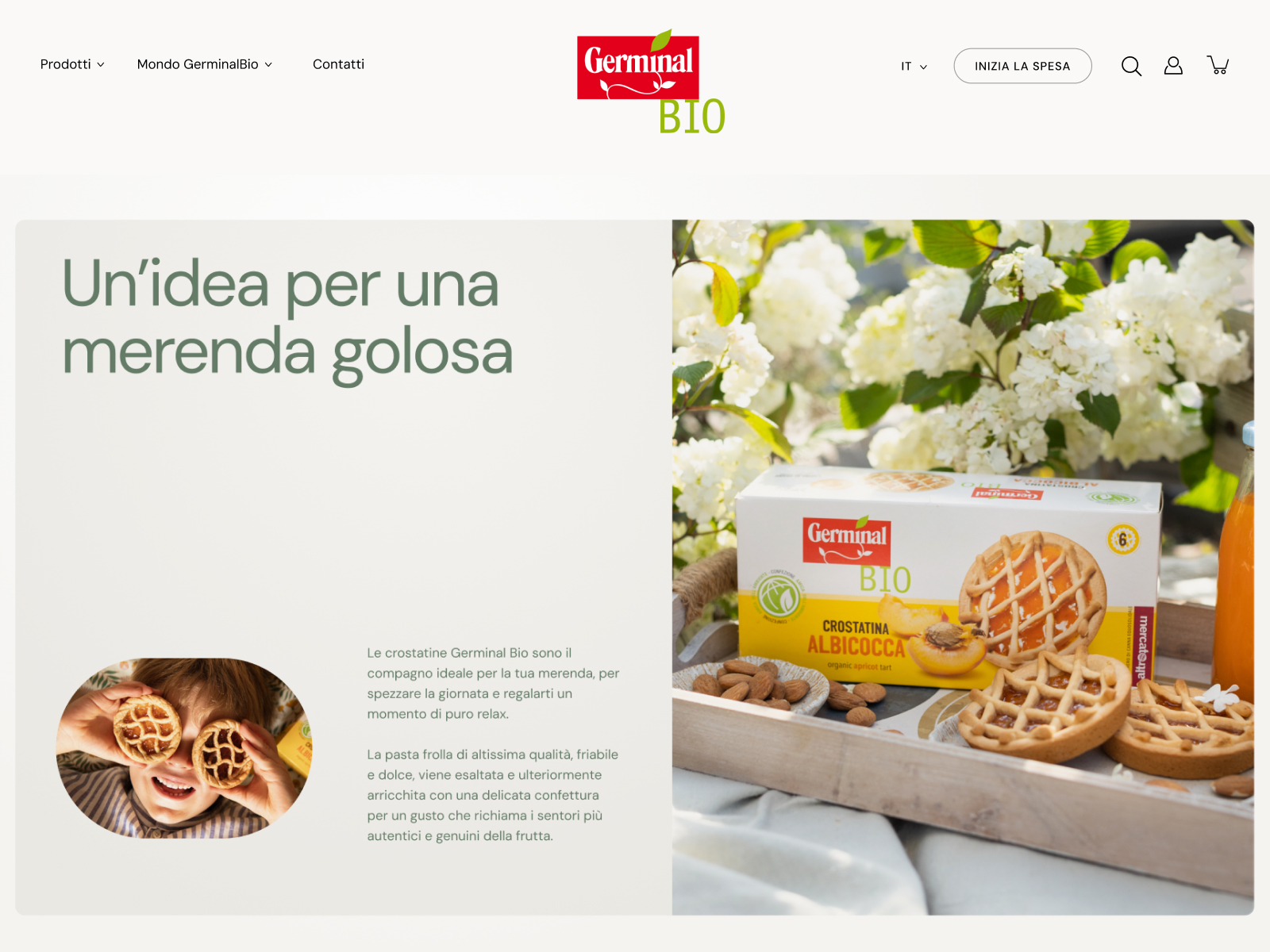 About us